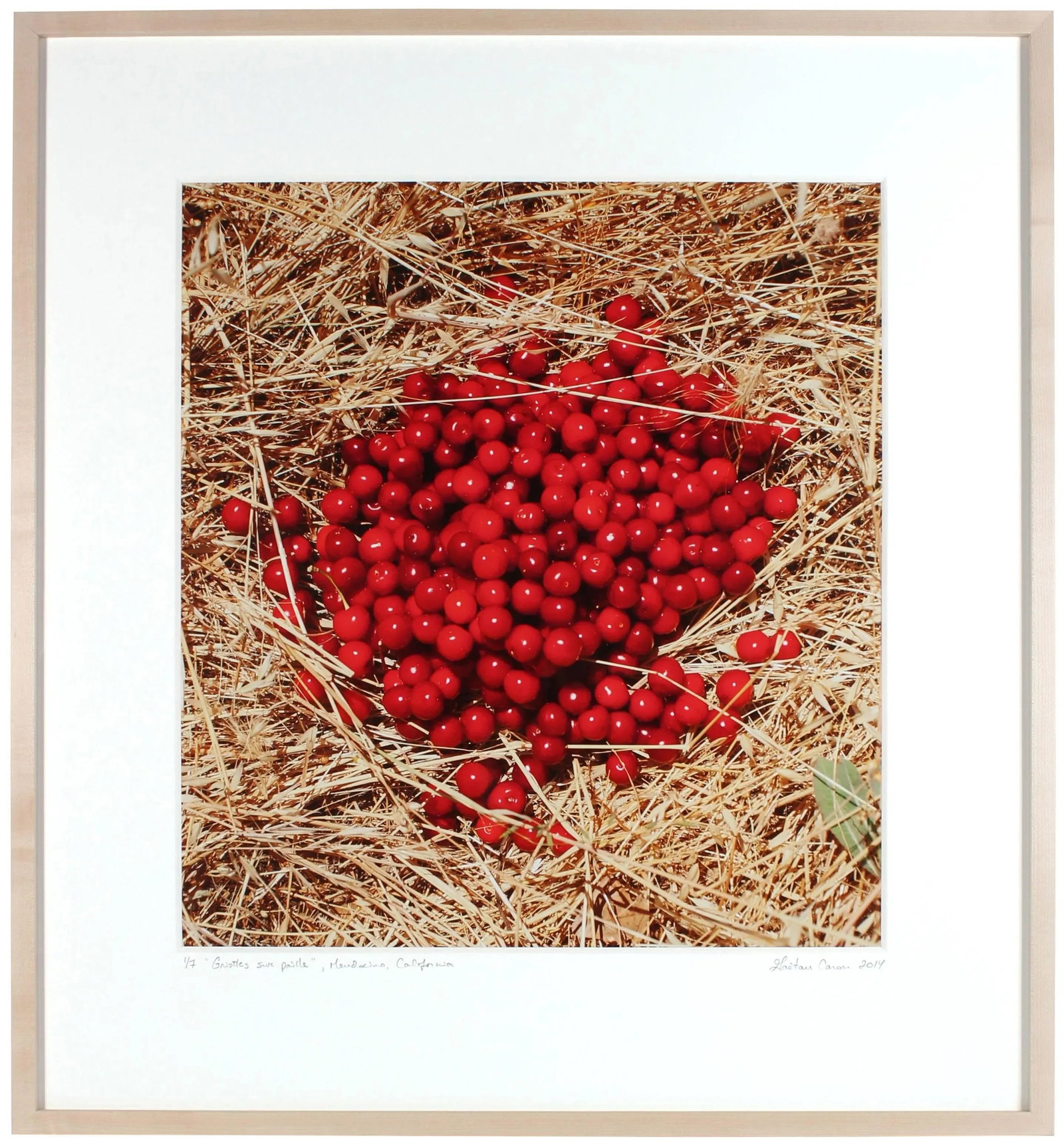 Gaetan Caron "Griottes Sur Paille (Morellos on Straw)" Photograph, Mendocino, Ca 2014 - 2