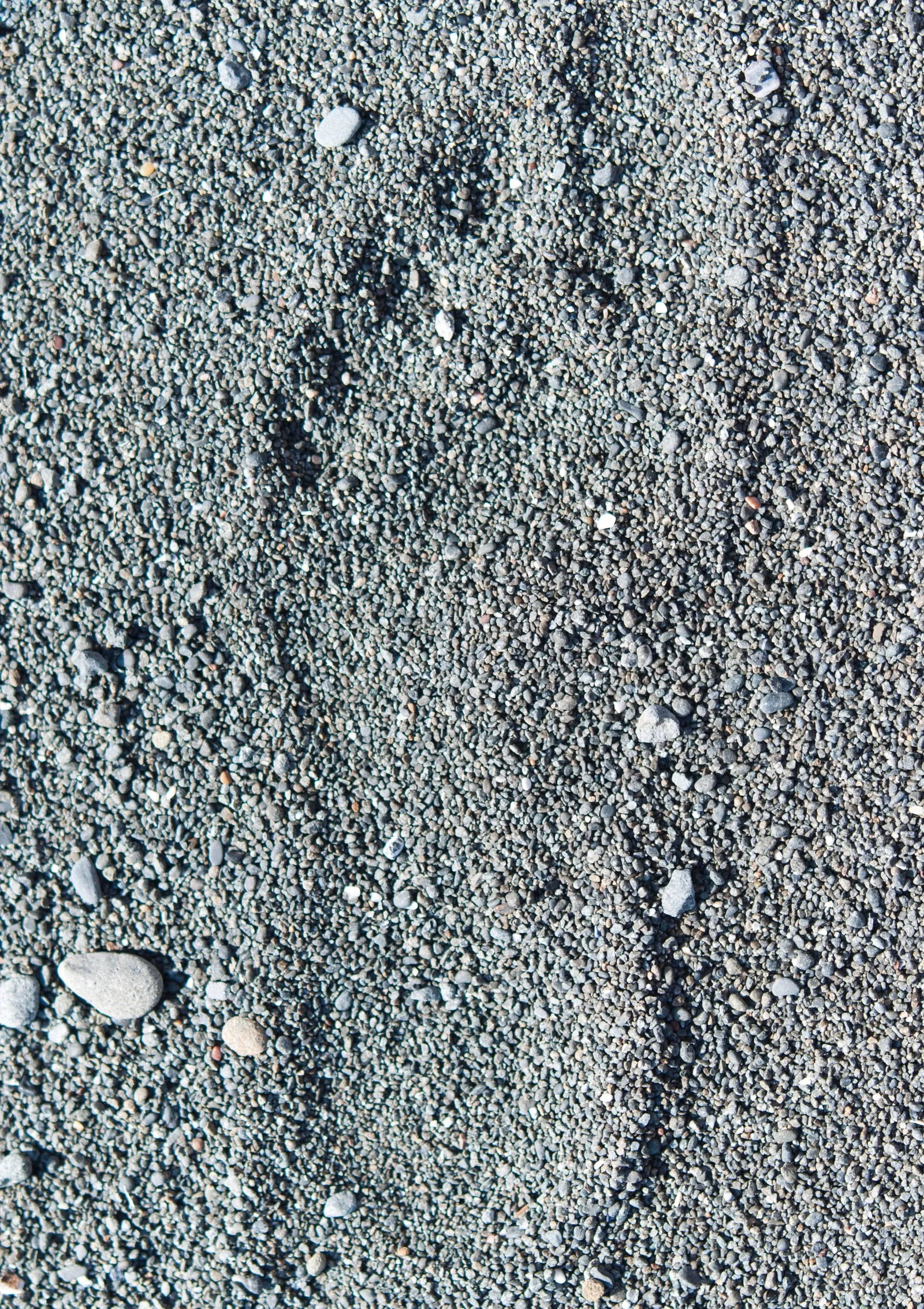 Gaetan Caron "Pied-A-Terre", Mendocino Coast, Ca Photograph, 2105 2015 - 6