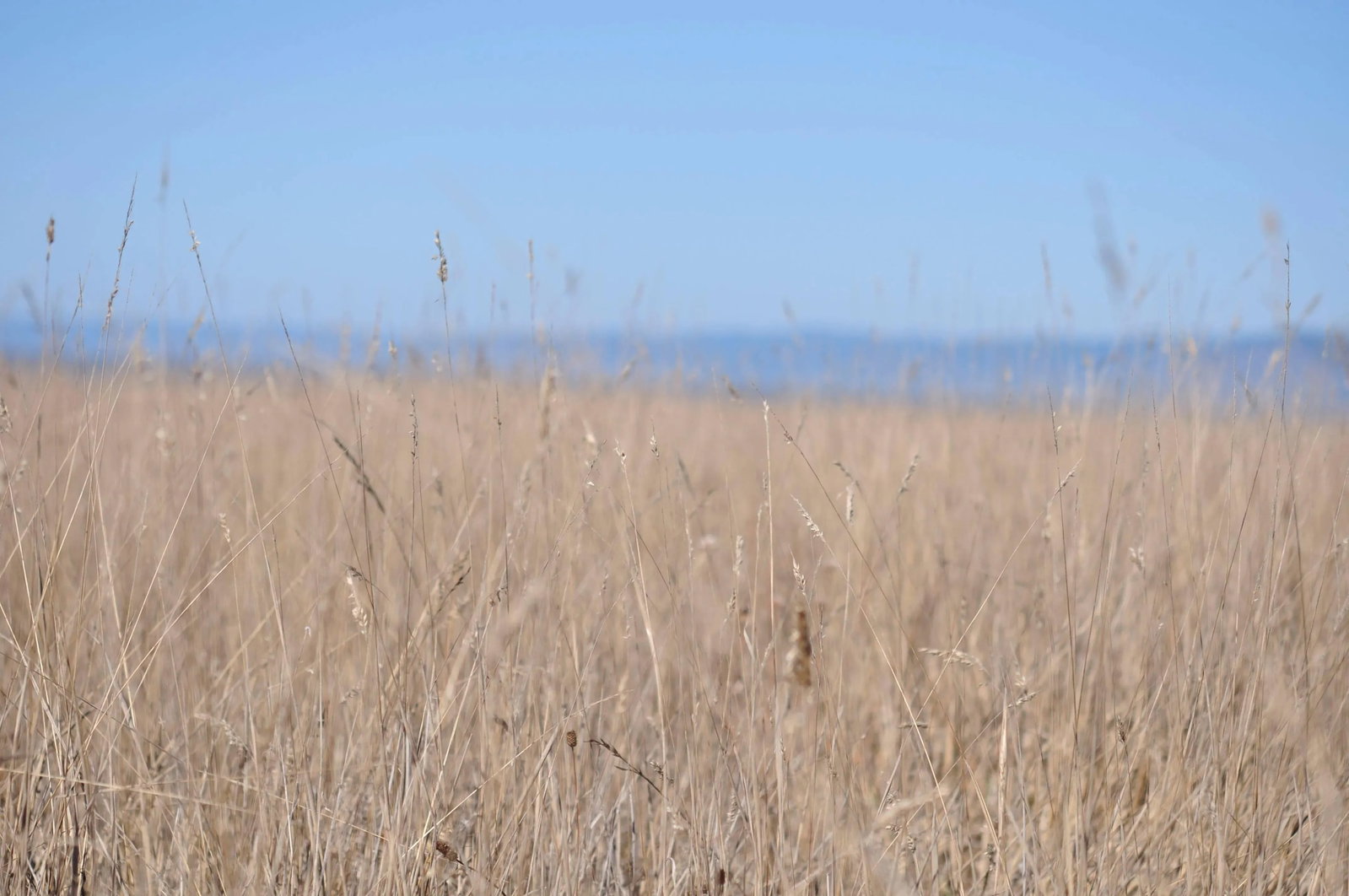 Gaetan Caron "Ten Mile Beach" Mendocino, California Landscape Photograph, 2013 - 5