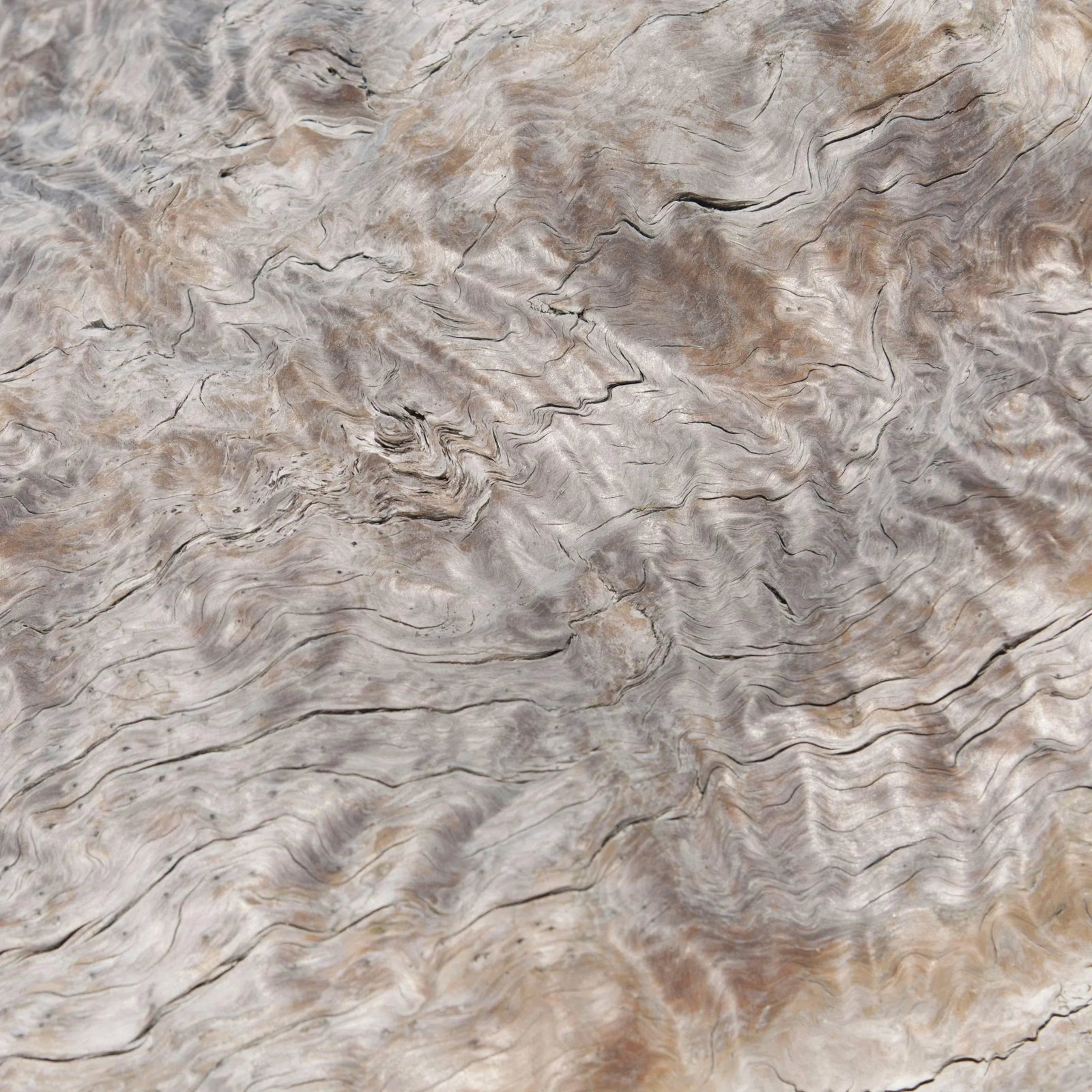 Gaetan Caron "Texture 9: Drift" Mendocino, California Photograph, 2015 2015 - 5