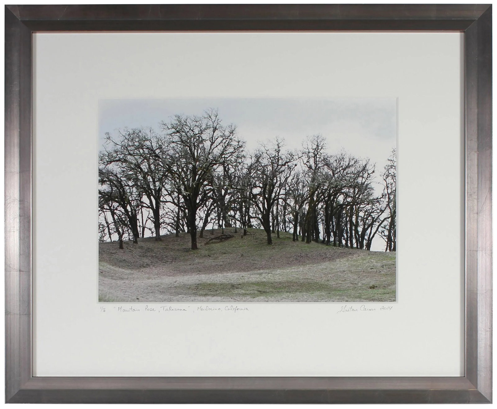 Gaetan Caron "Mountain Pose, Tadasana", Mendocino, California 2014 - 2