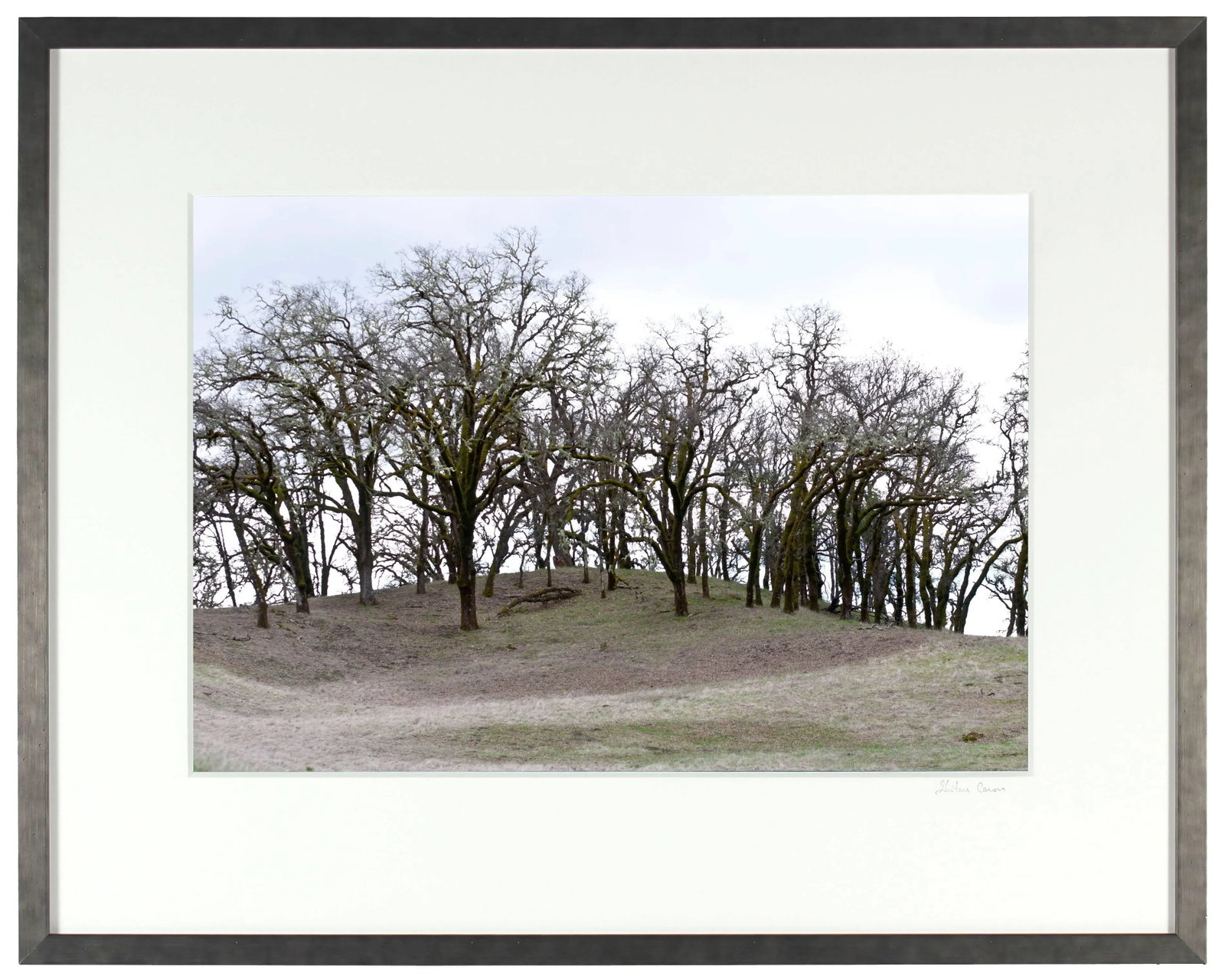 Gaetan Caron "Mountain Pose, Tadasana", Mendocino, California 2014 - 3