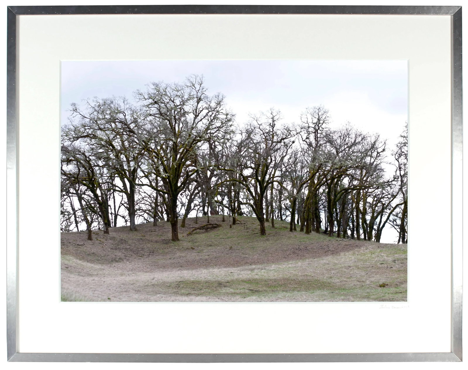 Gaetan Caron "Mountain Pose, Tadasana", Mendocino, California 2014 - 4