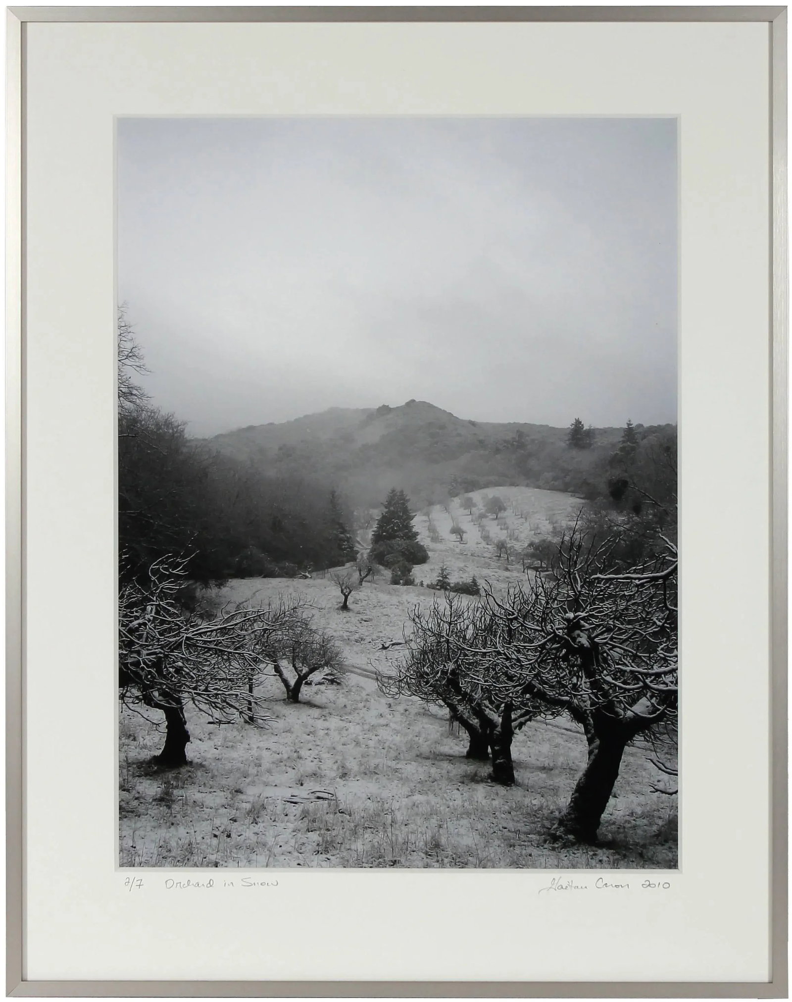 Gaetan Caron "Orchard in Snow" Framed Mendocino Photograph, 2010 - 2