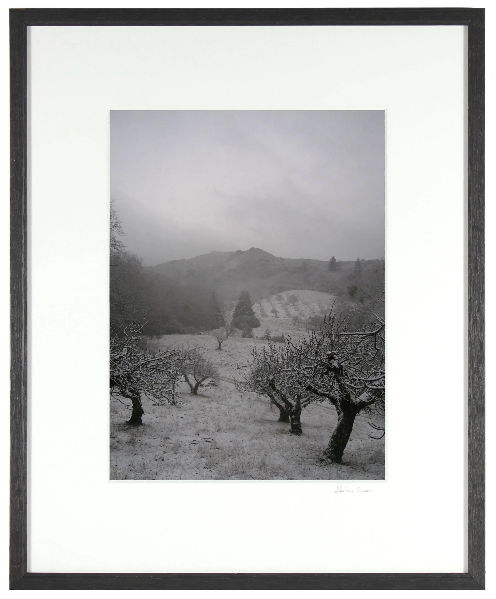 Gaetan Caron "Orchard in Snow" Framed Mendocino Photograph, 2010 - 3