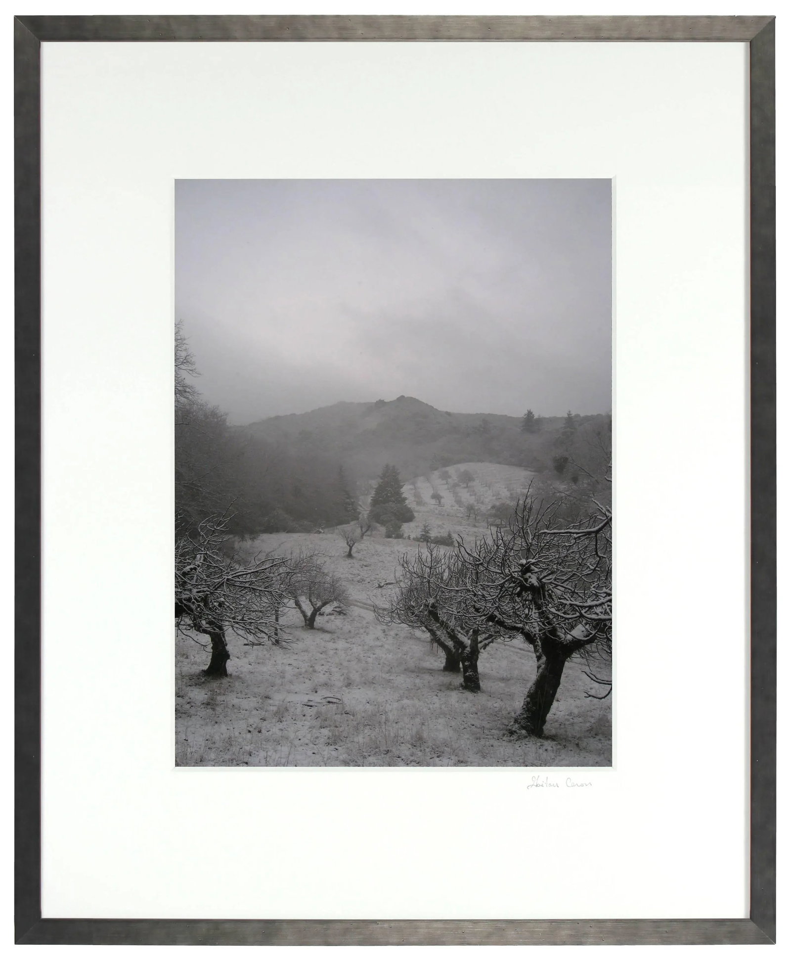 Gaetan Caron "Orchard in Snow" Framed Mendocino Photograph, 2010 - 4