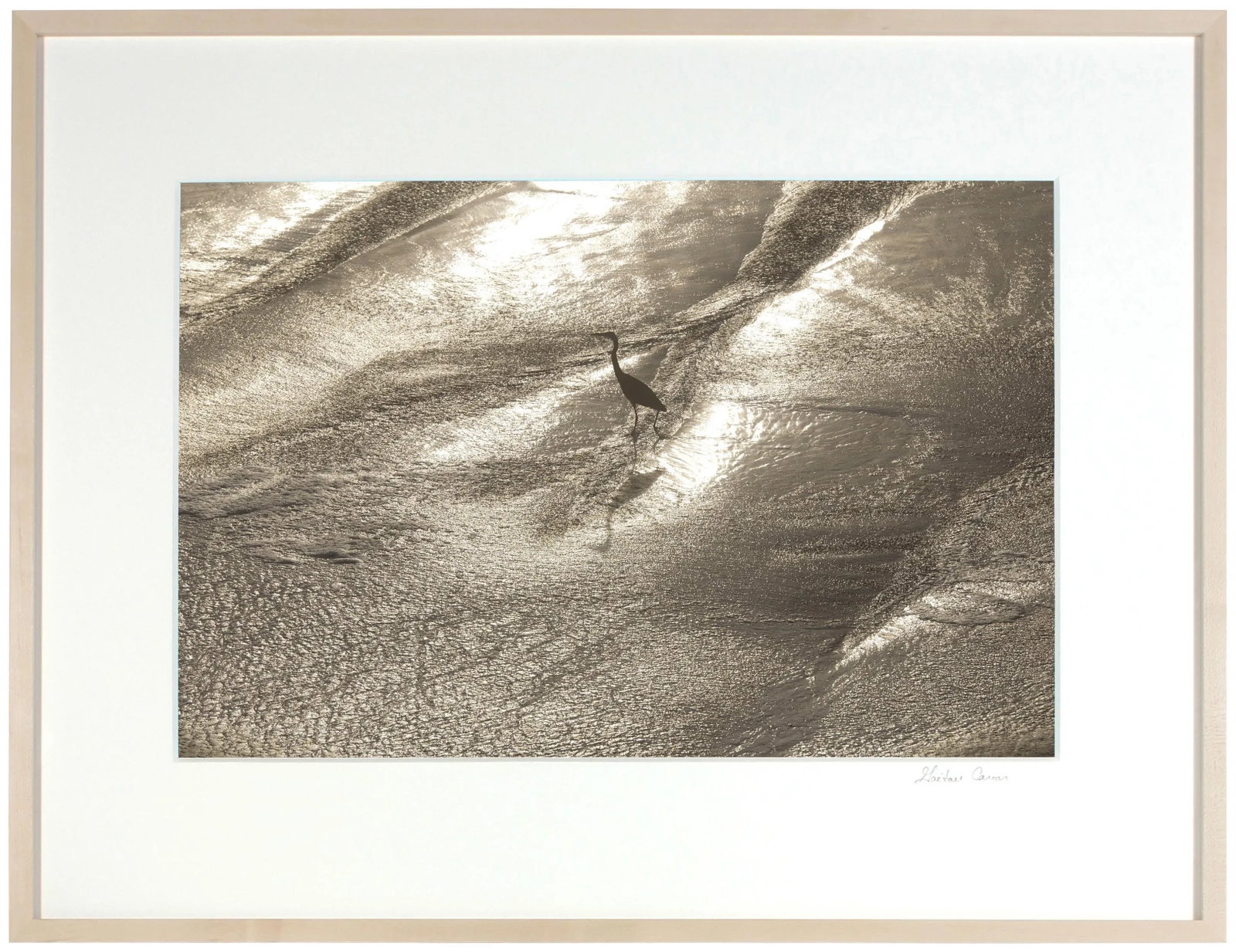 Gaetan Caron "Wading" Framed Color Photograph, Mendocino Coast, Ca, 2015 2015 - 4