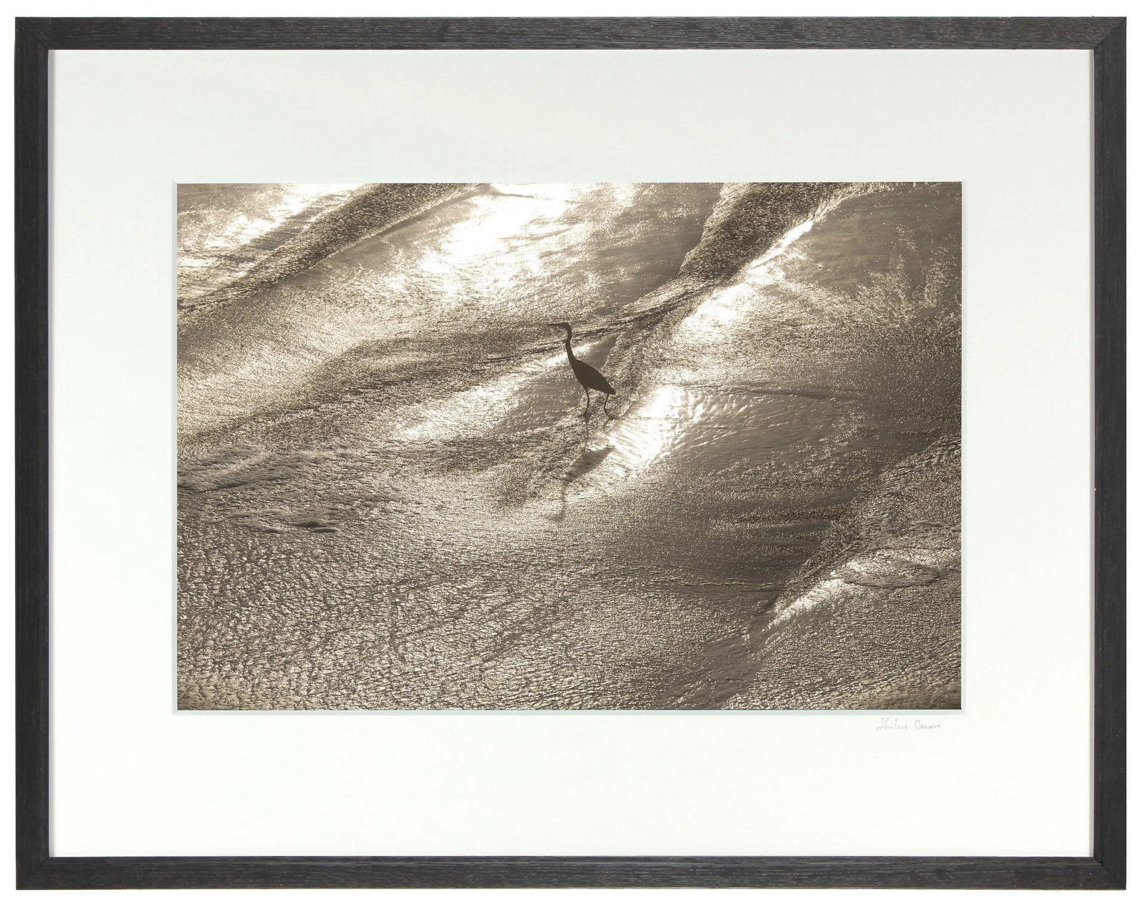 Gaetan Caron "Wading" Framed Color Photograph, Mendocino Coast, Ca, 2015 2015 - 5