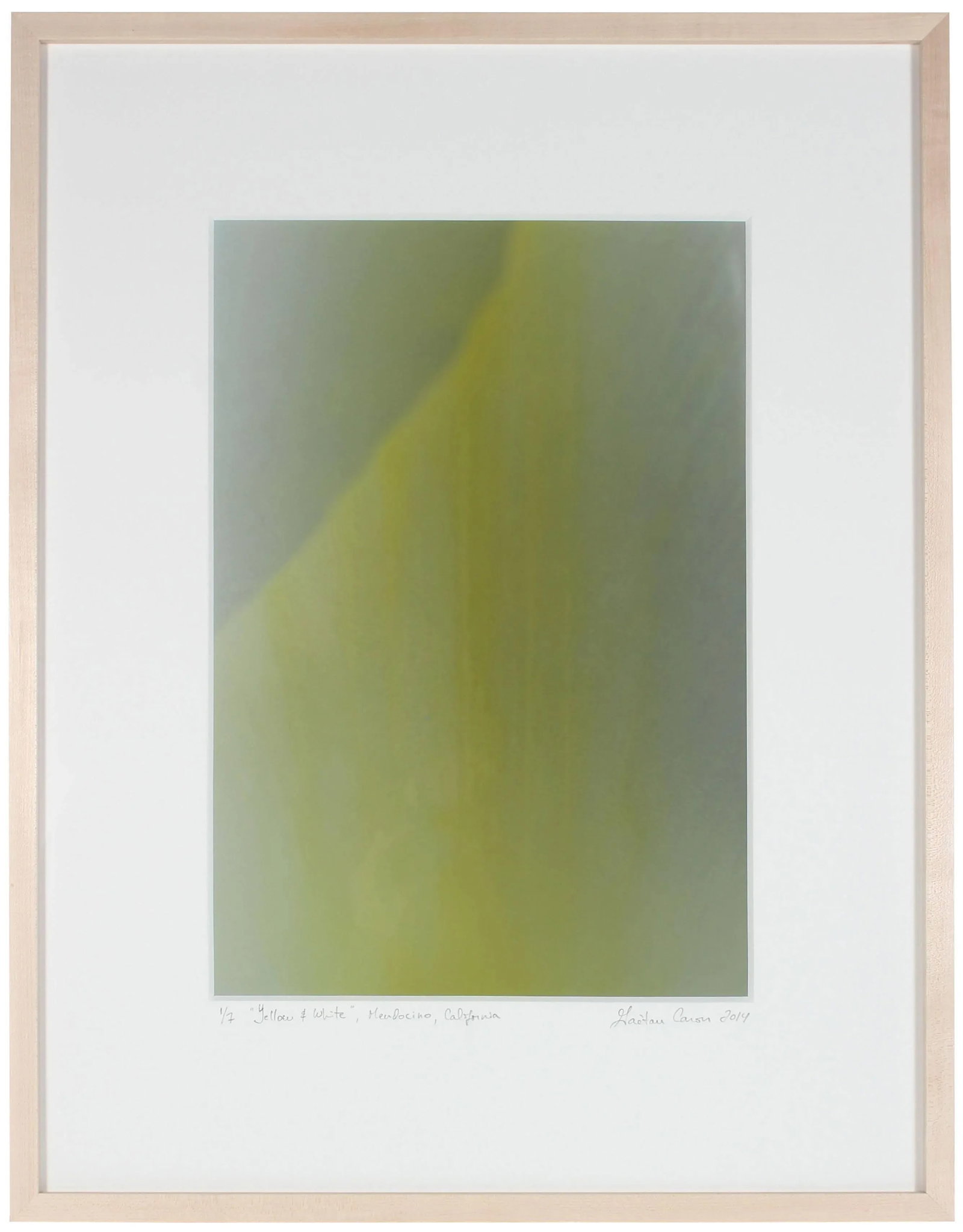 Gaetan Caron "Yellow & White" Abstract Floral Framed Photograph, Mendocino, Ca, 2014 2014 - 2