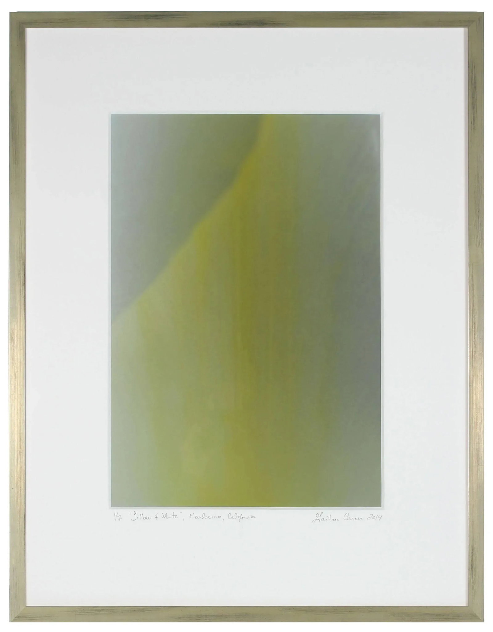 Gaetan Caron "Yellow & White" Abstract Floral Framed Photograph, Mendocino, Ca, 2014 2014 - 4