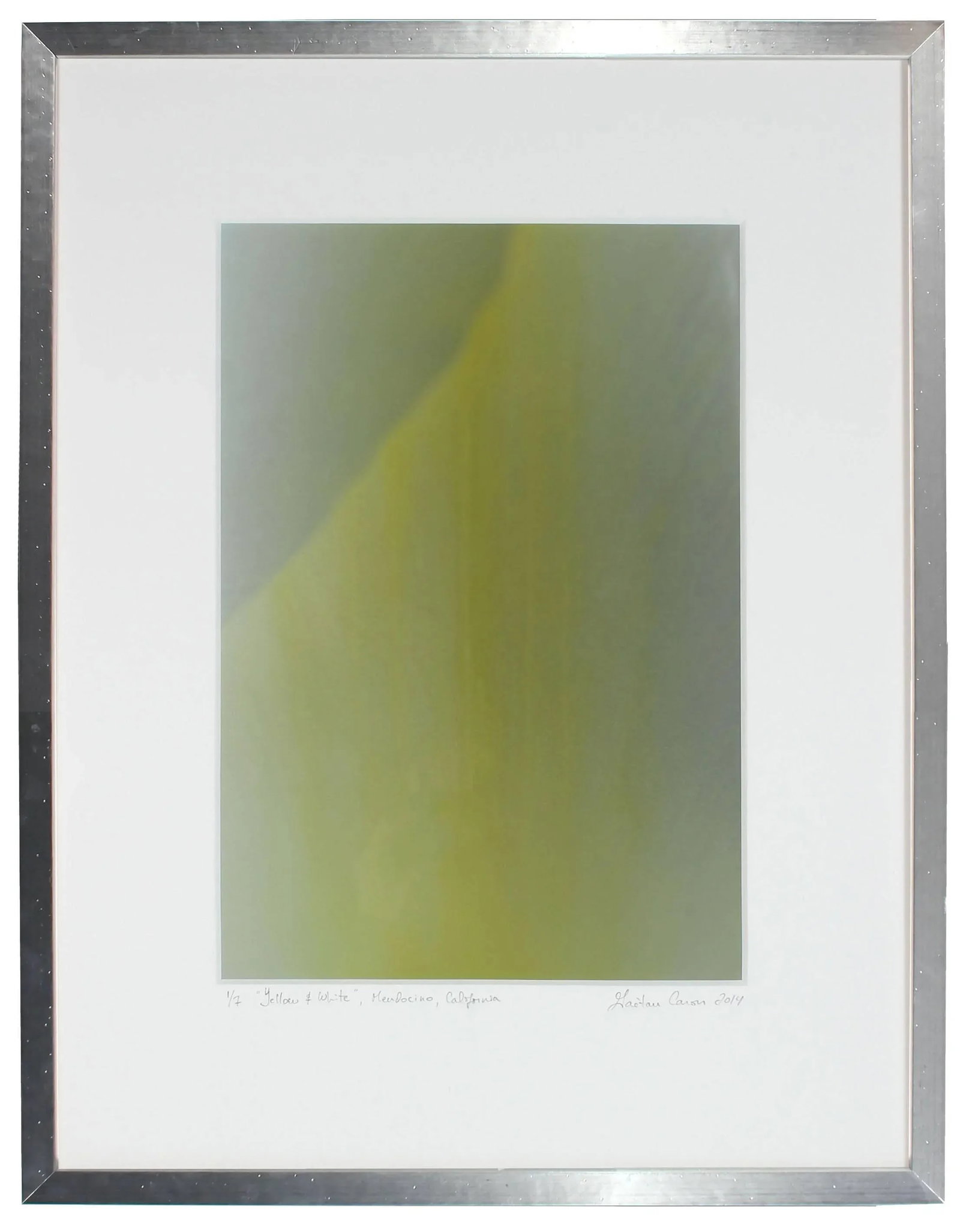 Gaetan Caron "Yellow & White" Abstract Floral Framed Photograph, Mendocino, Ca, 2014 2014 - 5
