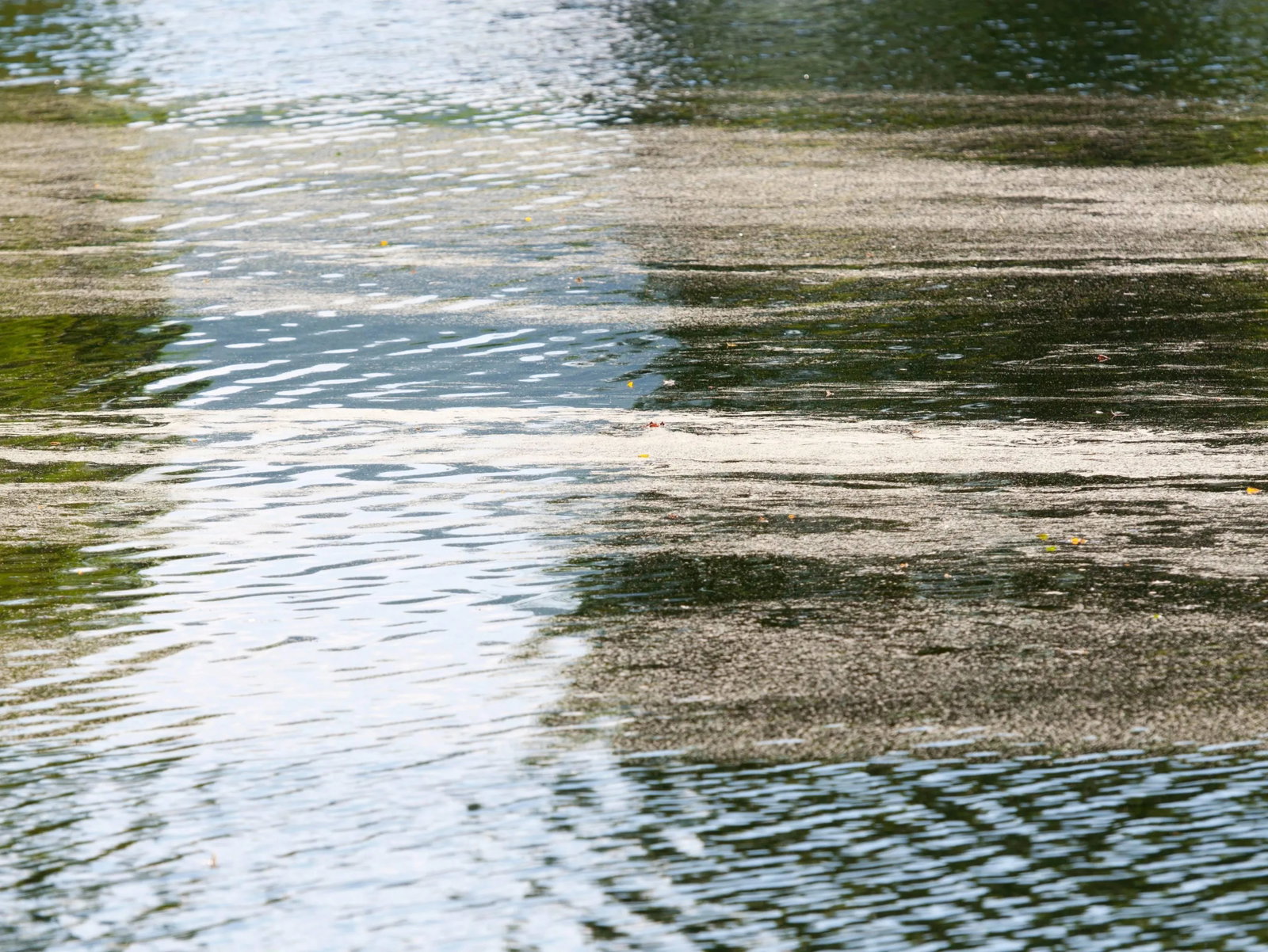Gaetan Caron "Faerie Dust" Storm King, New York, 2014 2014 - 5