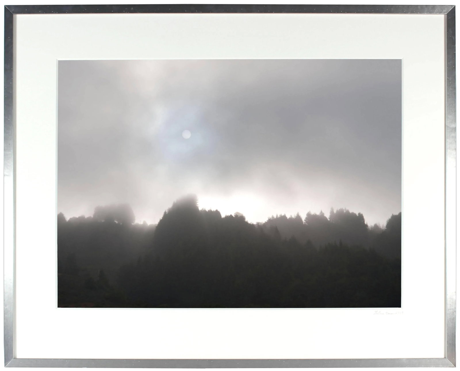 Gaetan Caron "Early Morning Sun & Fog", Northern California Coast. (Framed) Photograph. 2015 - 2