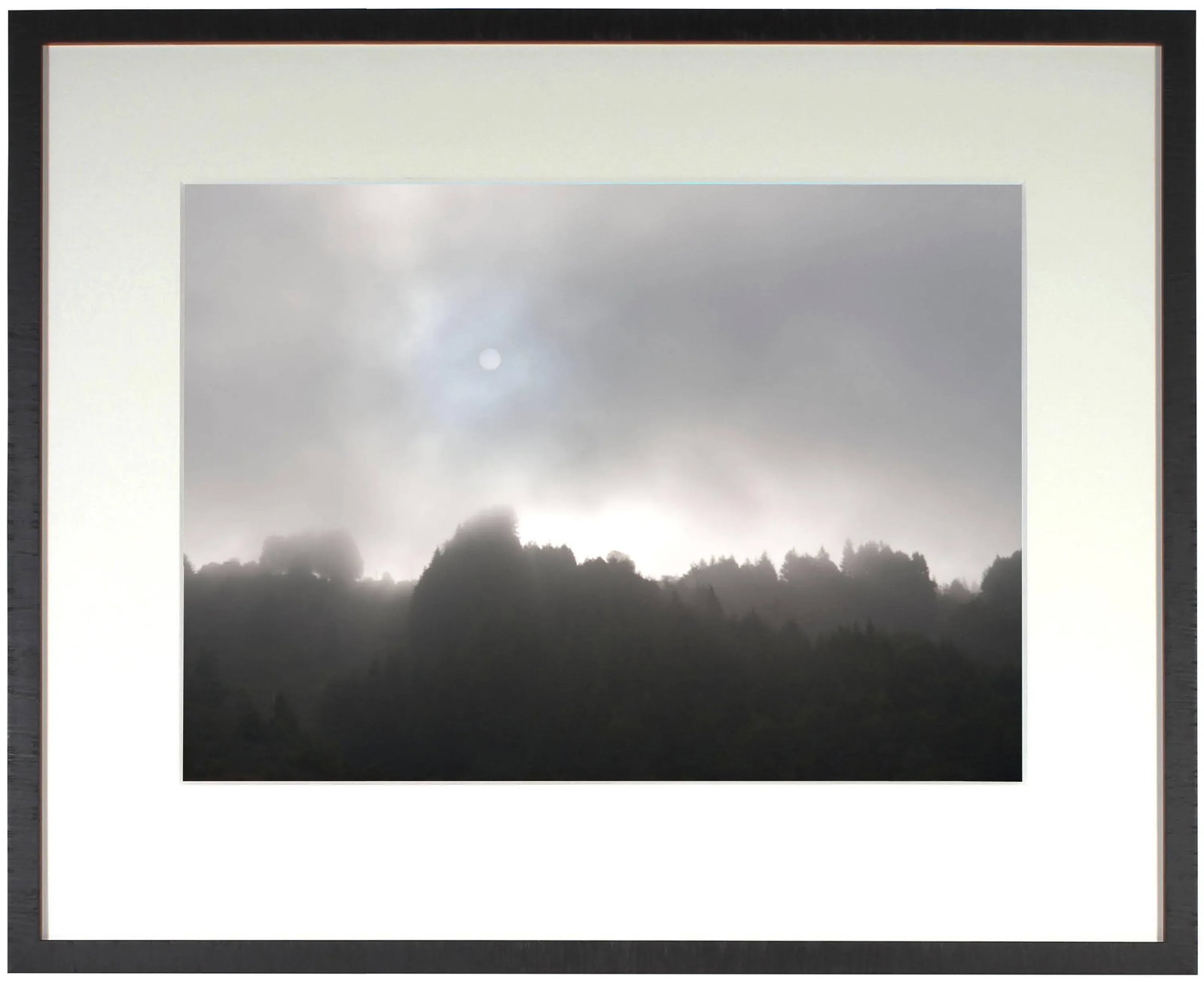 Gaetan Caron "Early Morning Sun & Fog", Northern California Coast. (Framed) Photograph. 2015 - 3