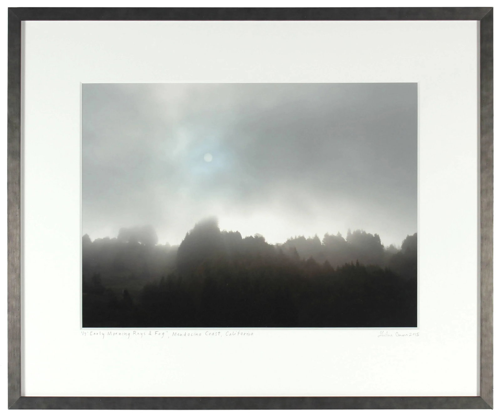 Gaetan Caron "Early Morning Sun & Fog", Northern California Coast. (Framed) Photograph. 2015 - 4