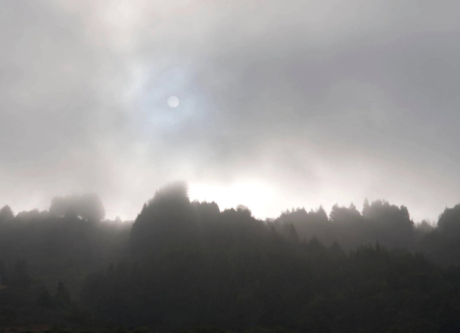Gaetan Caron "Early Morning Sun & Fog", Northern California Coast. (Framed) Photograph. 2015 - 5