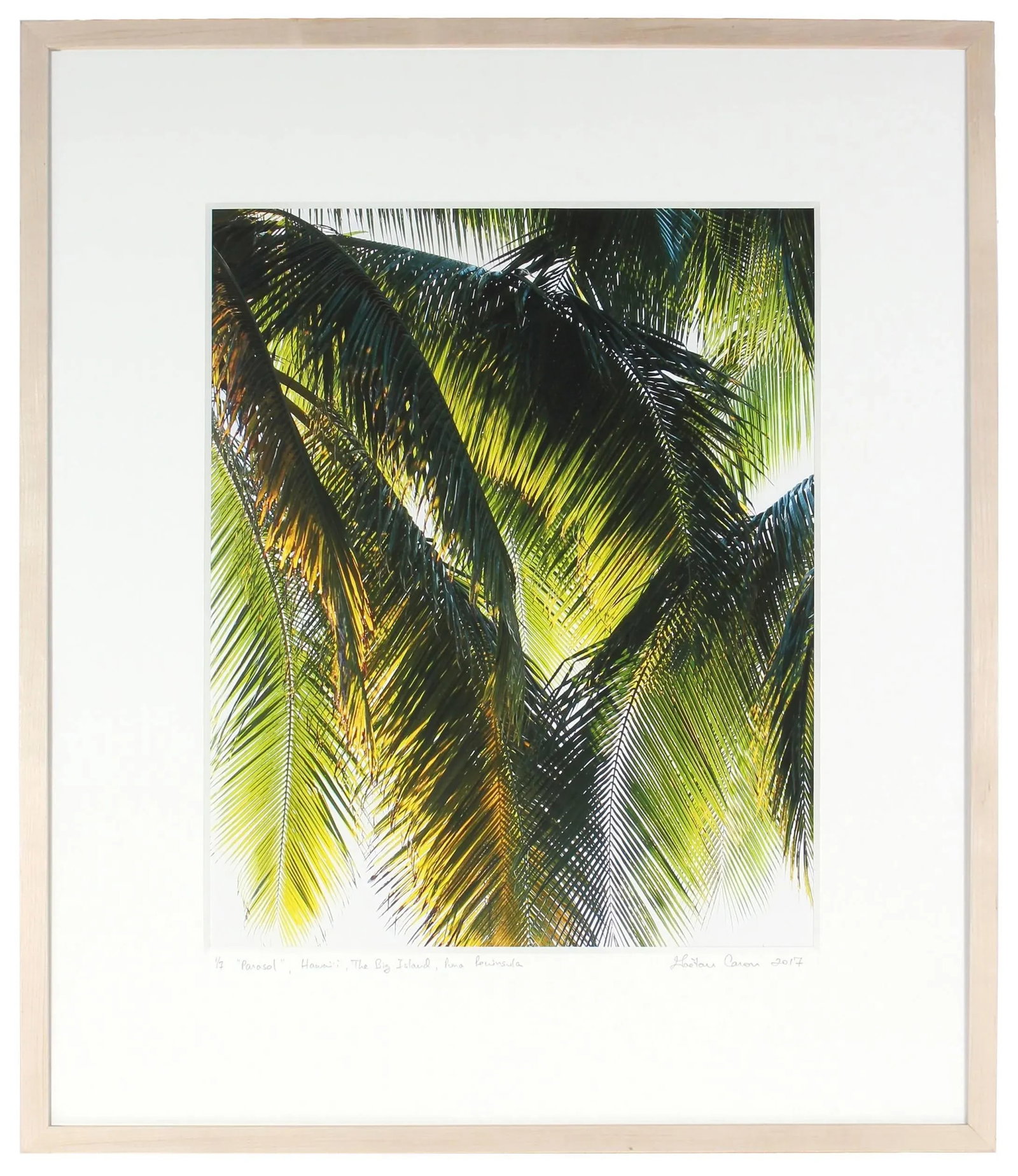Gaetan Caron "Parasol" Puna Peninsula, Hawai'i Photograph, 2107 2017 - 3