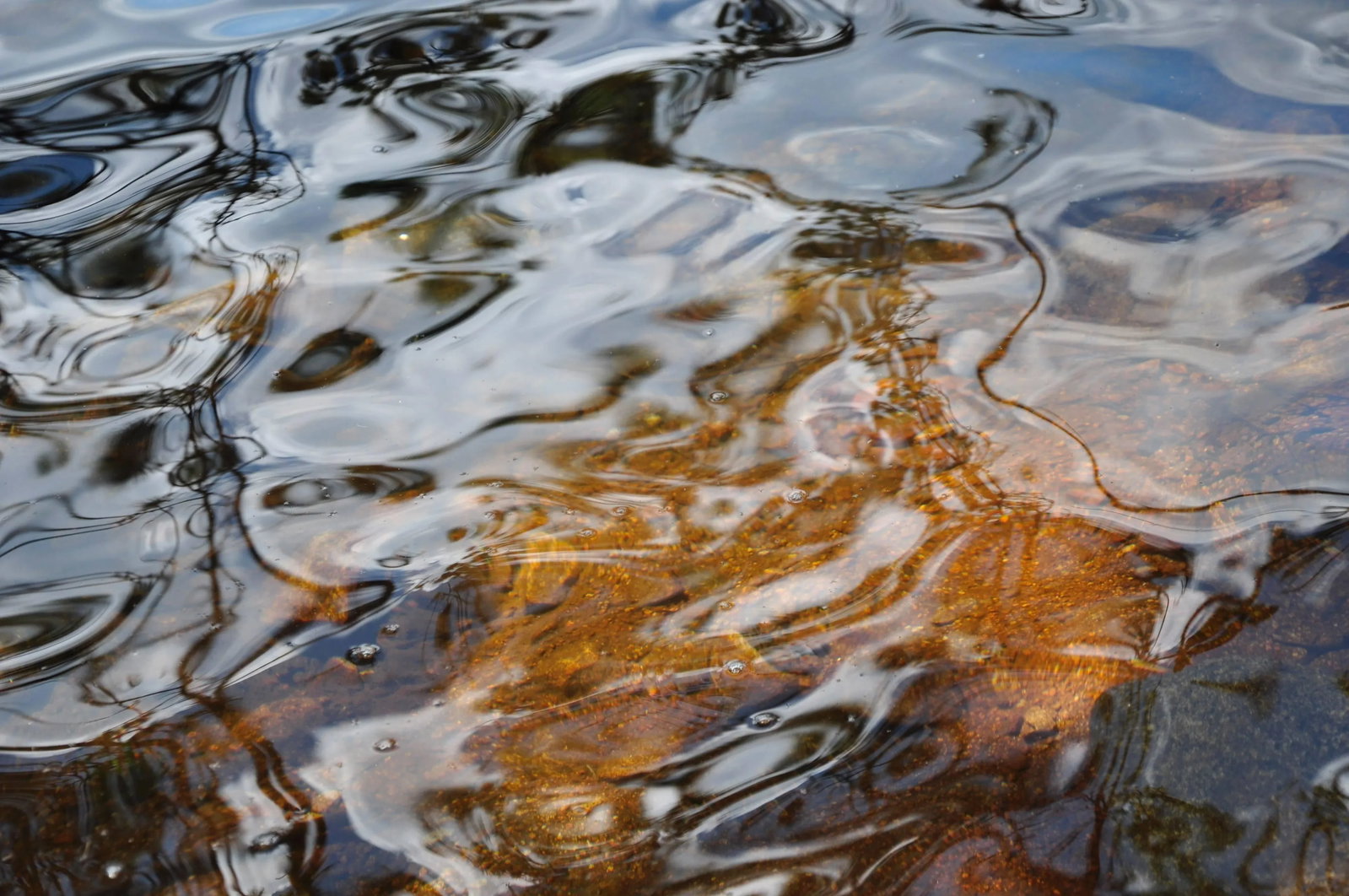 Gaetan Caron "Like Water, Like Gold" (De l'Eau en Or), New Hampshire Color Photo, 2013 - 6