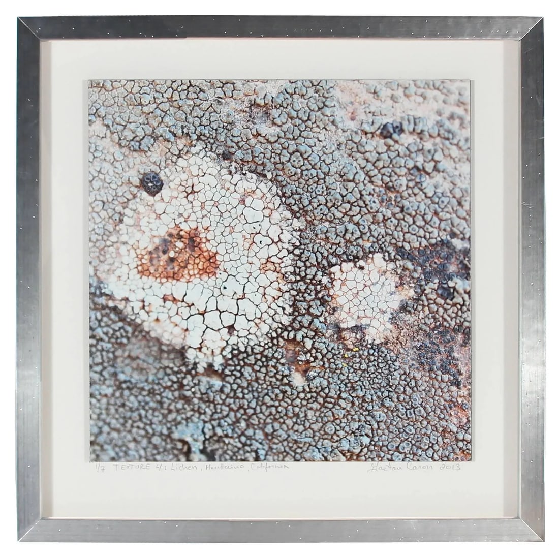 Gaetan Caron "Texture 4: Lichen" Mendocino, Ca Abstract Color Photograph, 2013 - 3