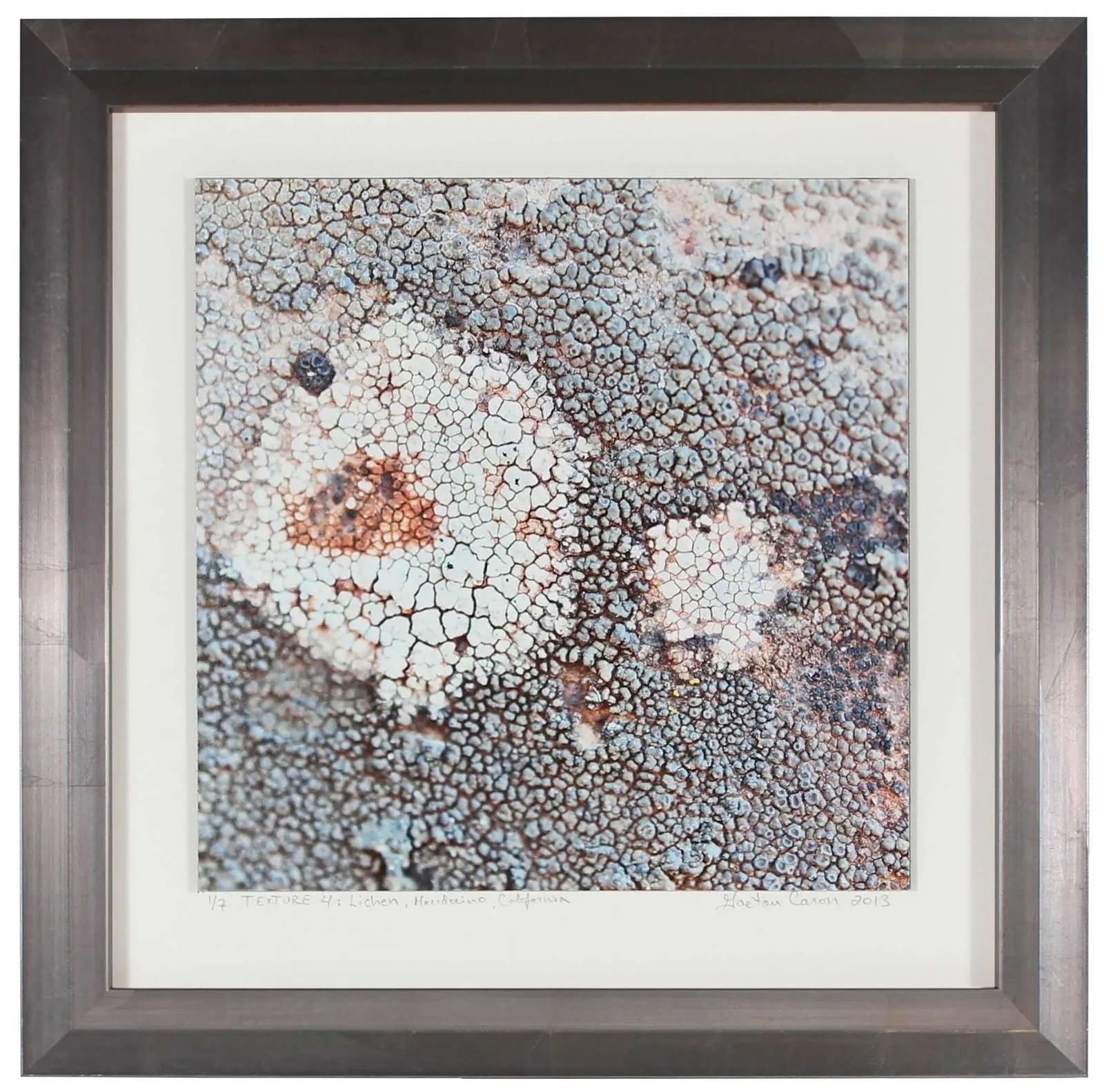 Gaetan Caron "Texture 4: Lichen" Mendocino, Ca Abstract Color Photograph, 2013 - 4