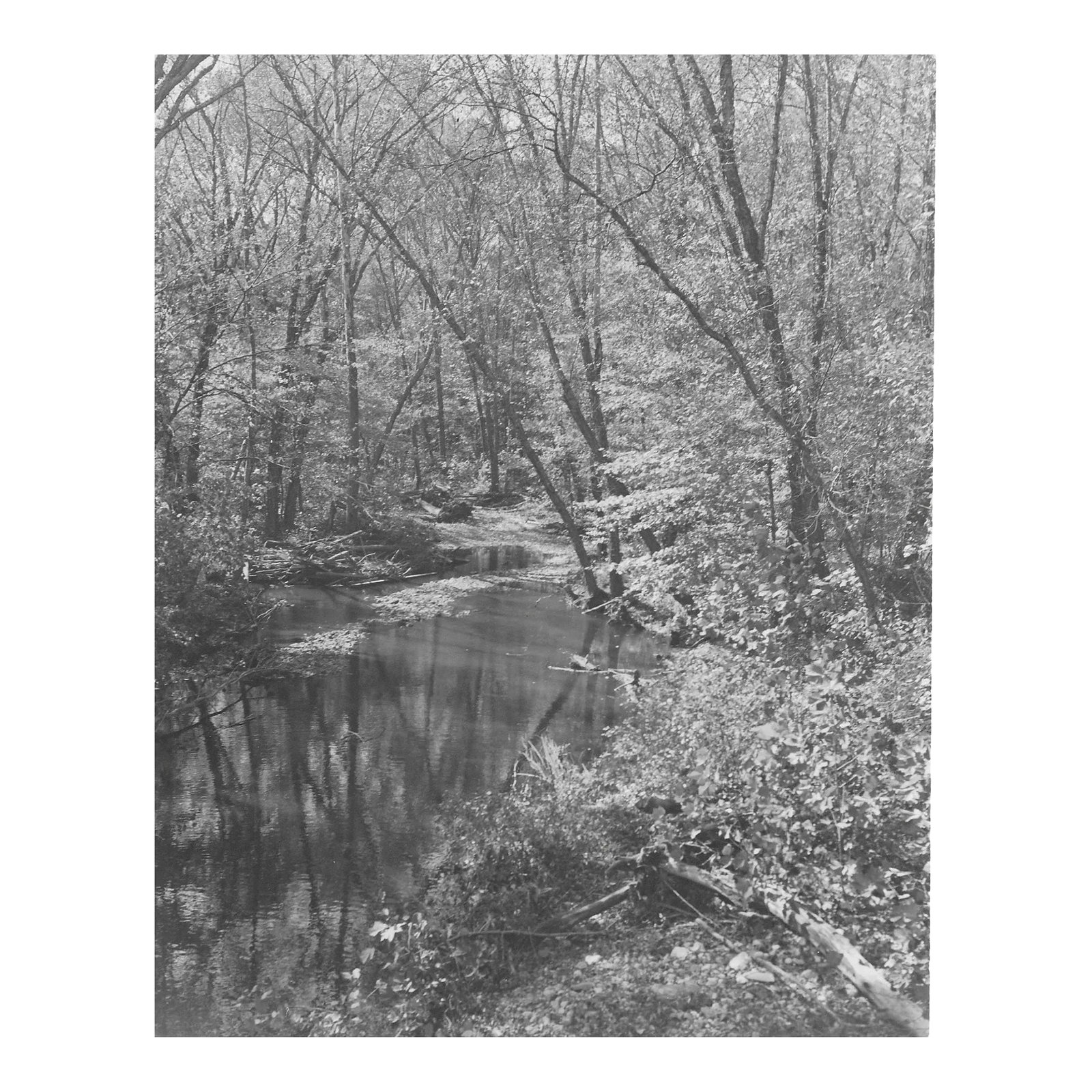 1946 Chompawamsic Creek in Northern Virginia Photograph by Don Ware: 1940s black and white photograph by Los Angeles, California based photographer Don Coleman Ware (1921-2006) of Chopawamsic Creek (spelled Chomsawomsic by Ware) landscape near Quantico, VA. Titled,