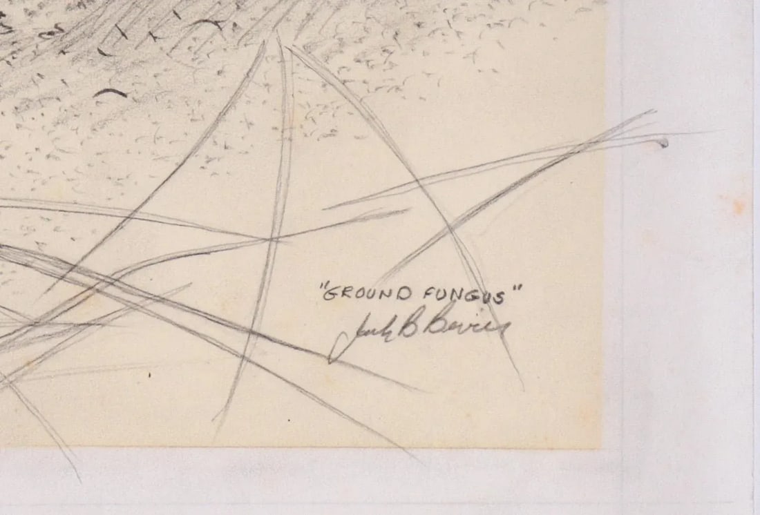 Ground Fungus 20th Century Graphite Drawing - 2