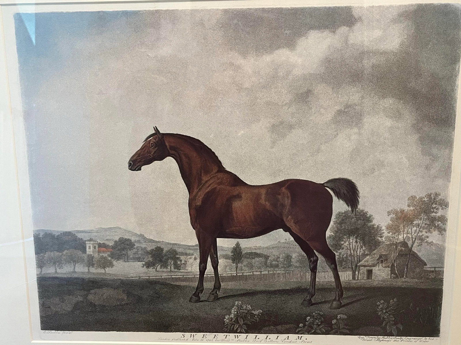 Antique Equestrian Sporting Print : 'Sweet William' - 4