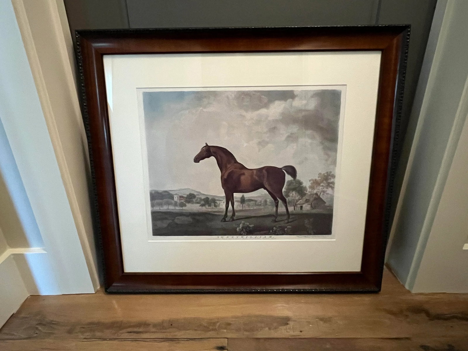 Antique Equestrian Sporting Print : 'Sweet William' - 8