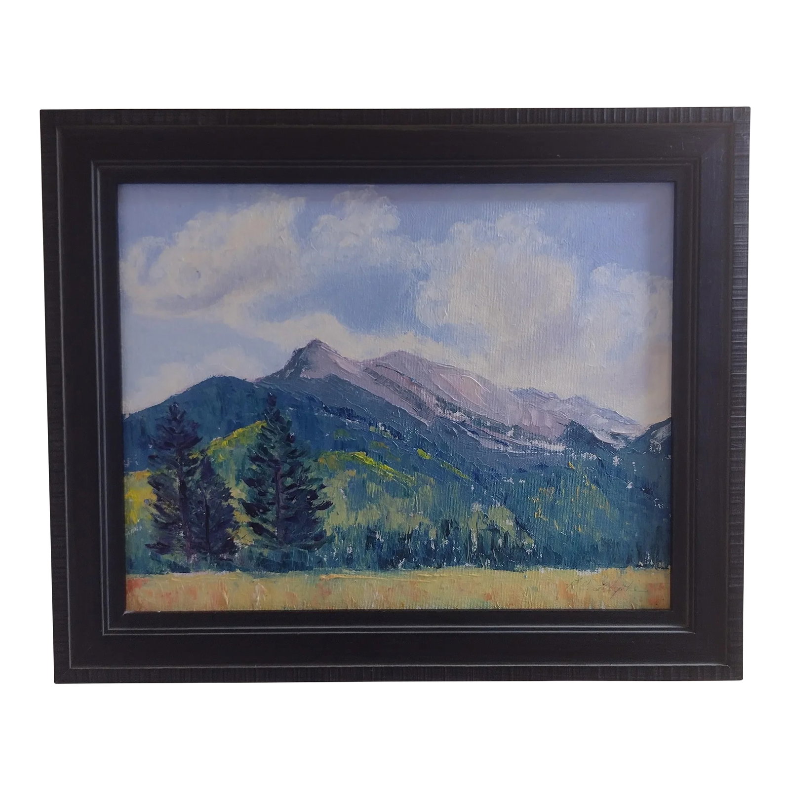 Original Oil Painting "September Skies" by Anita Blythe 11" X 14" Plein Air Landscape: Artist: Anita C. Blythe (B. 1956) Title: September Skies Medium: Oil Painting On Canvas Board Size: 11" x 14" Unframed Framed: 13" x 16" Approximately Provenance: Exhibited in the Plein Air Painters o