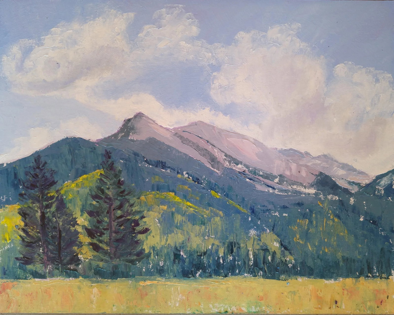 Original Oil Painting "September Skies" by Anita Blythe 11" X 14" Plein Air Landscape - 2