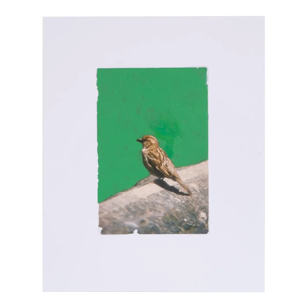 Original Signed James Sprouse "Bird" Painting 2001: BIRD, 2001. Oil painting of green bird on exhibition postcard, each signed James Sprouse, 2001, NYC" and dated on verso. Dimensions card 6 x 4" mat 10 x 8" Acquired at Clark's Fine Art & Auctioneers