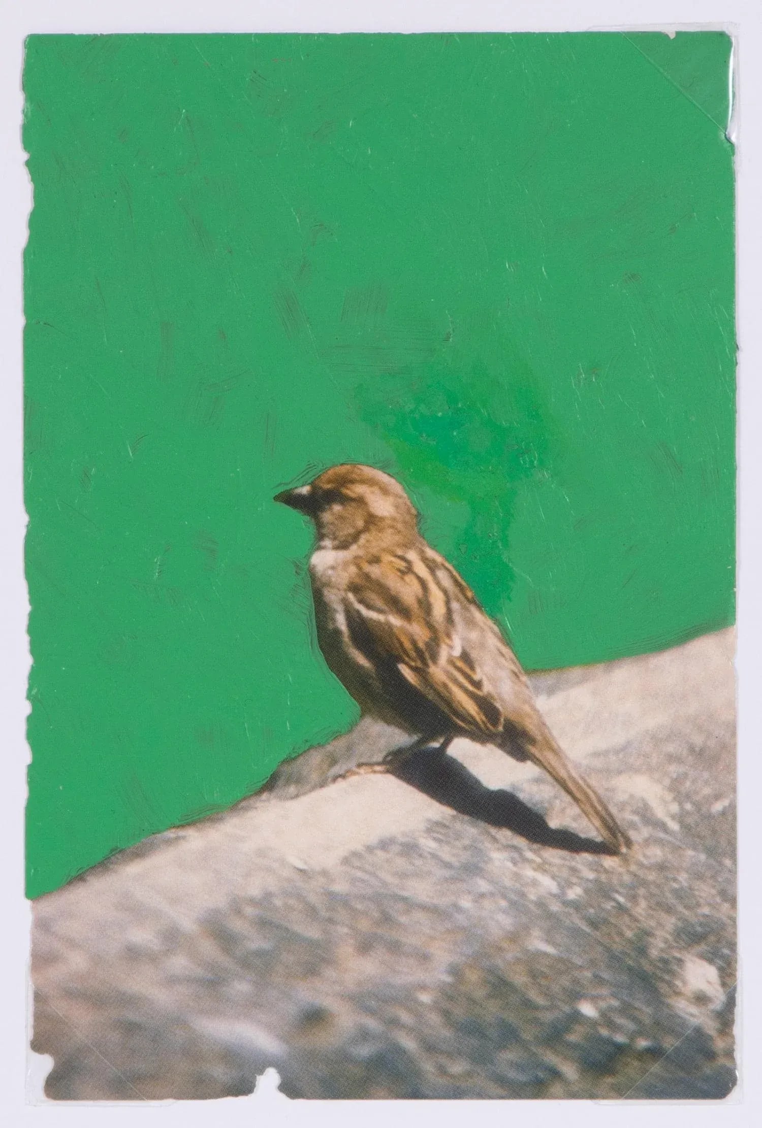 Original Signed James Sprouse "Bird" Painting 2001 - 2