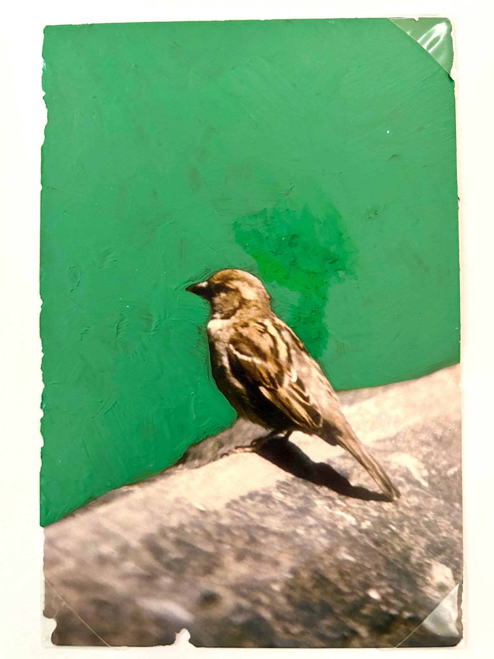 Original Signed James Sprouse "Bird" Painting 2001 - 5