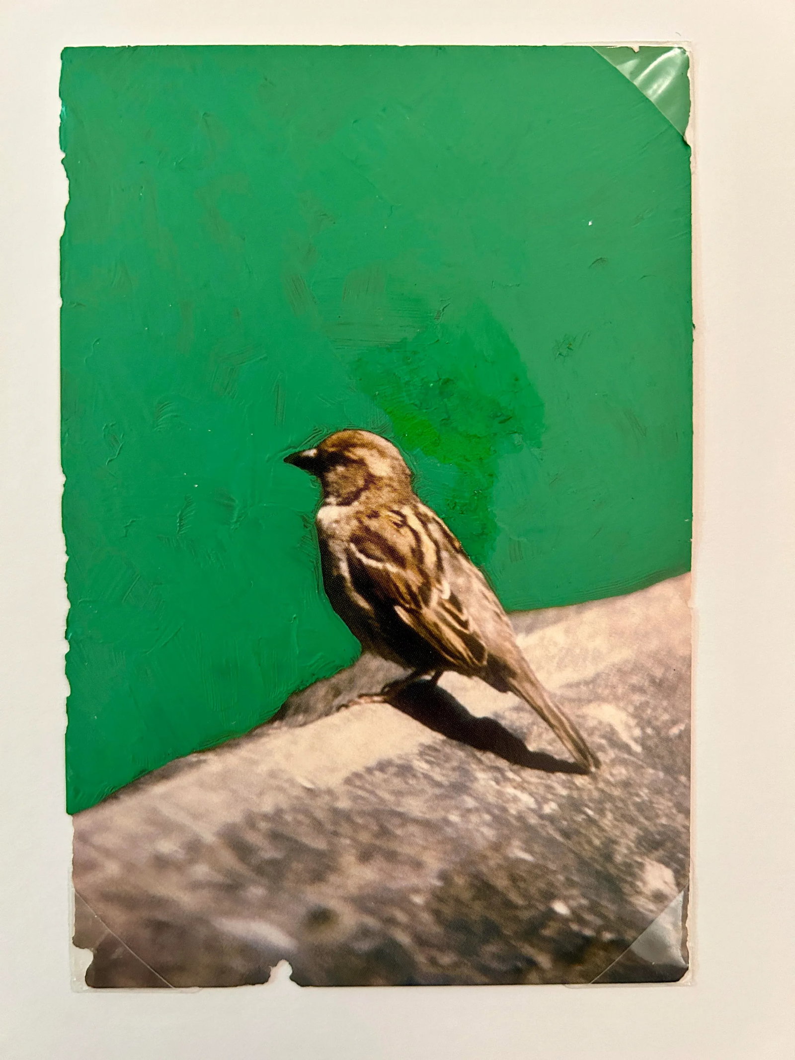 Original Signed James Sprouse "Bird" Painting 2001 - 6
