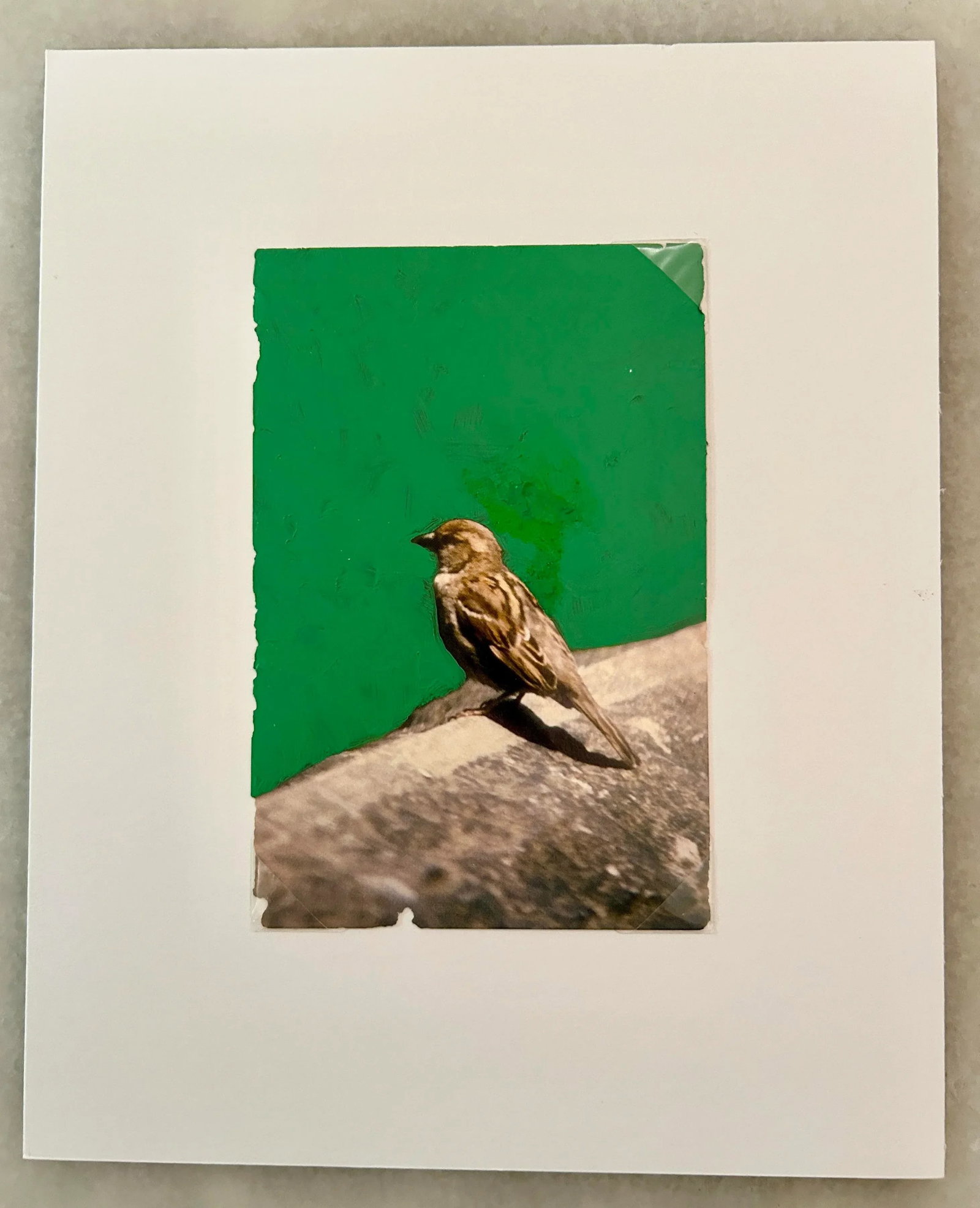 Original Signed James Sprouse "Bird" Painting 2001 - 8