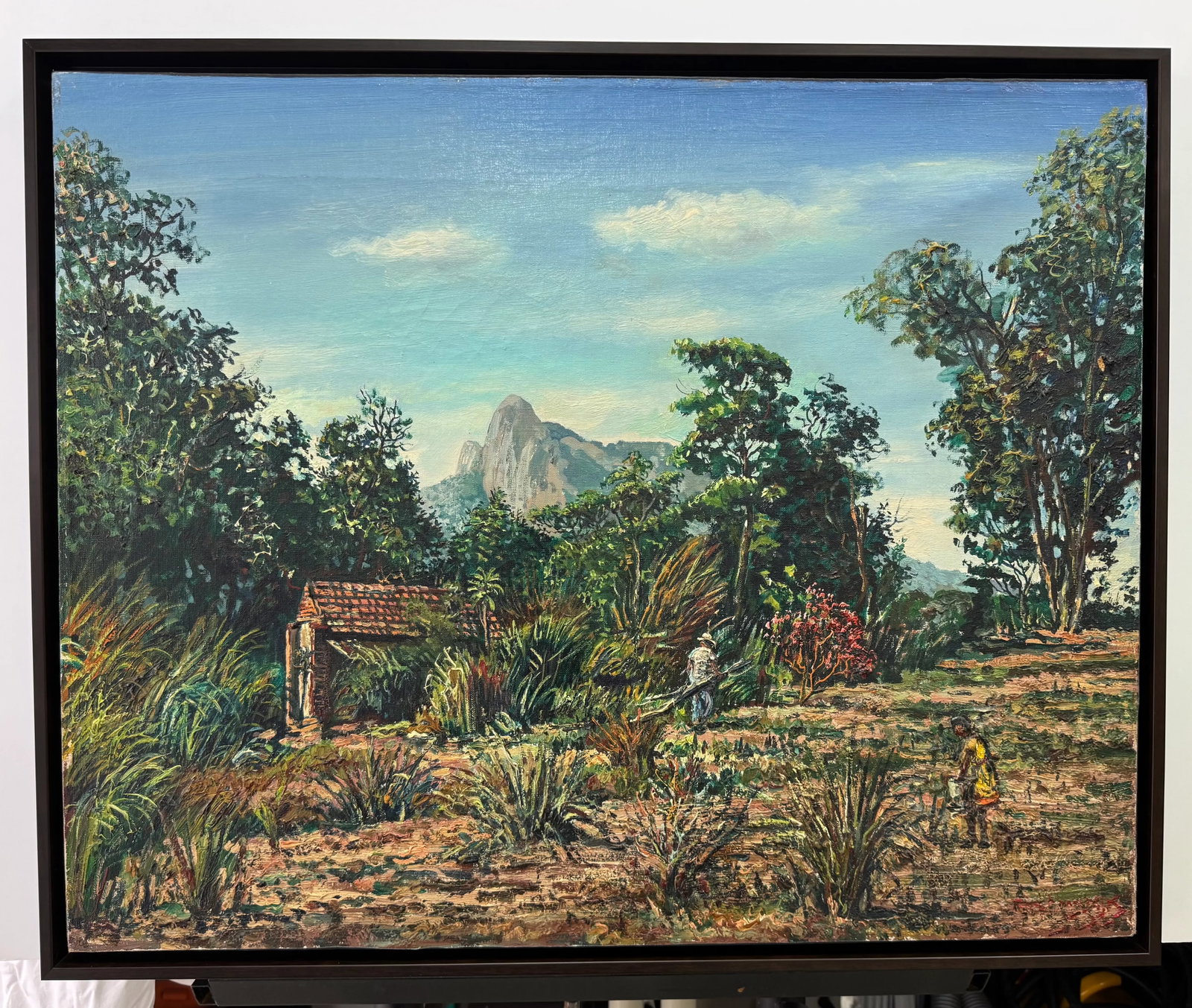 Pair 1960s Mid-Century Rio De Janeiro Landscapes (2) by Willem v. Dyk, Framed - 2