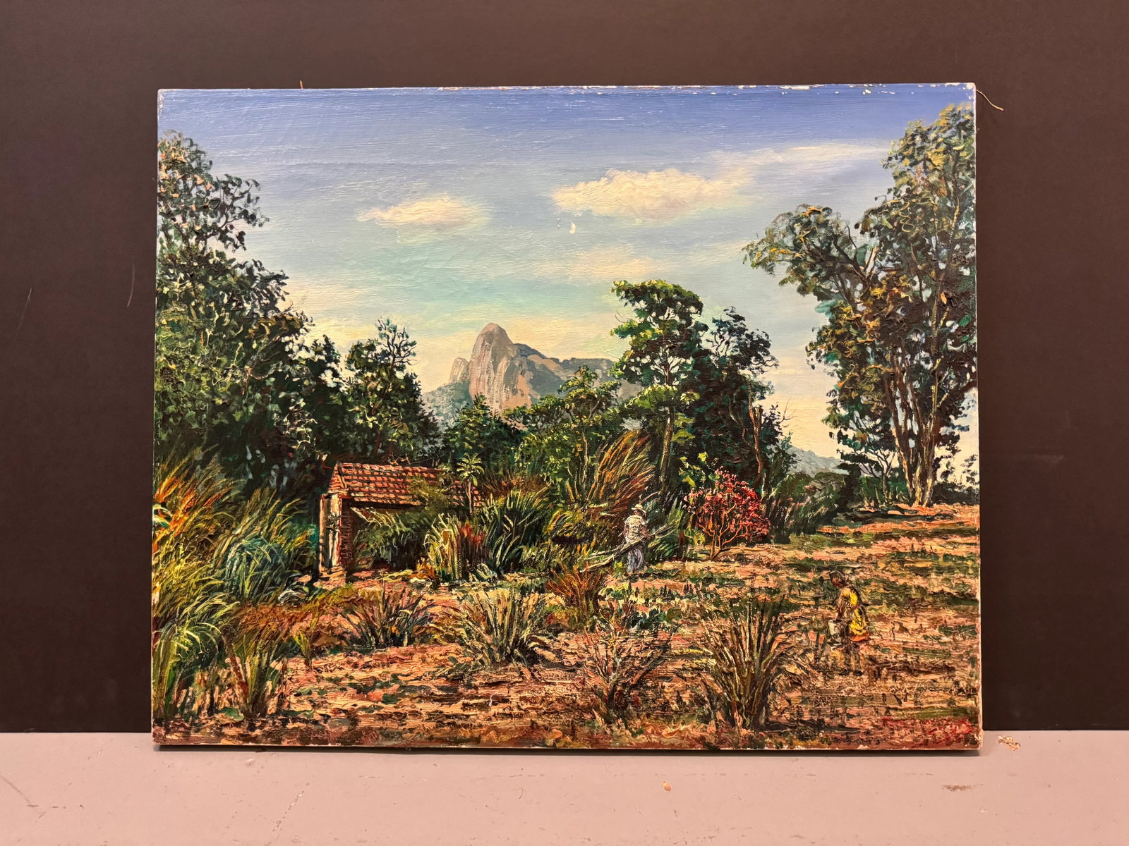 Pair 1960s Mid-Century Rio De Janeiro Landscapes (2) by Willem v. Dyk, Framed - 8