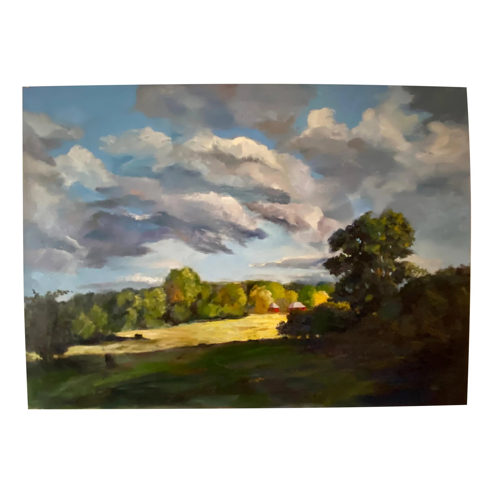 A Country Field Large Landscape Oil Painting by Marina Movshina: A large original landscape can be the immersive scenery in any room. Here is a field in southern Missouri, rendered in the sweeping view that takes your breath away. The sun lights the grain and the