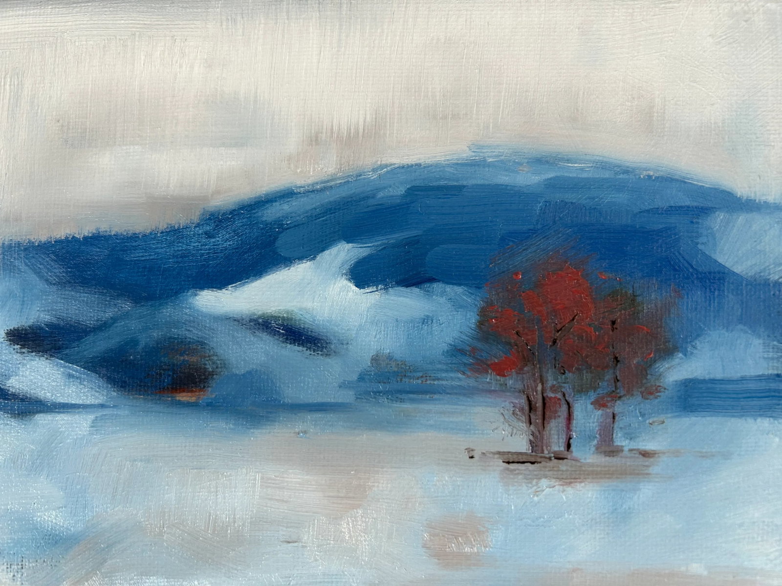 Lone Tree on the Bench - 2