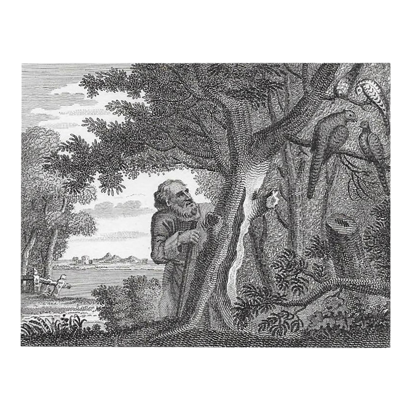 1793 the Philosopher and the Pheasants Engraving by William Skelton: "Fable XV: The Philosopher and the Pheasants" 1793 copperplate engraving by William Skelton (1763-1848) after a painting by John Wootton (1686-1765) from "Fables, with the Life of the Author" by John