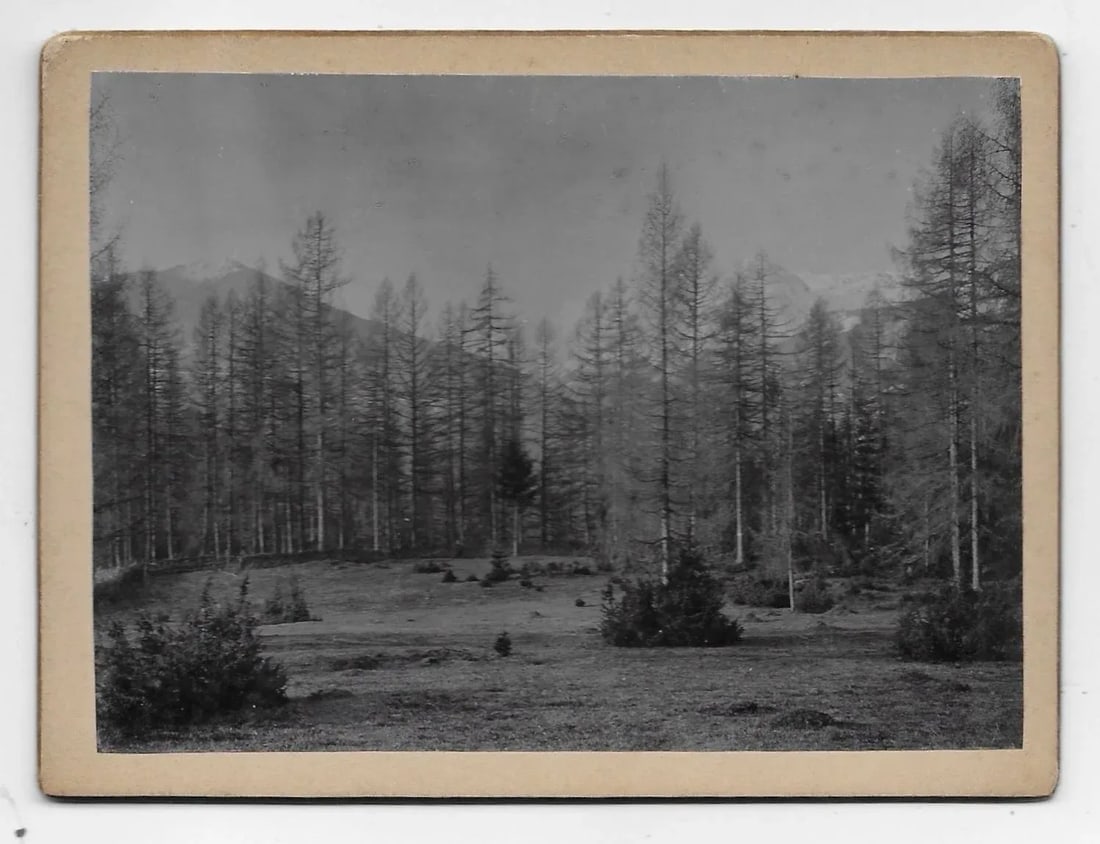 1890s European Landscape Photograph - 2
