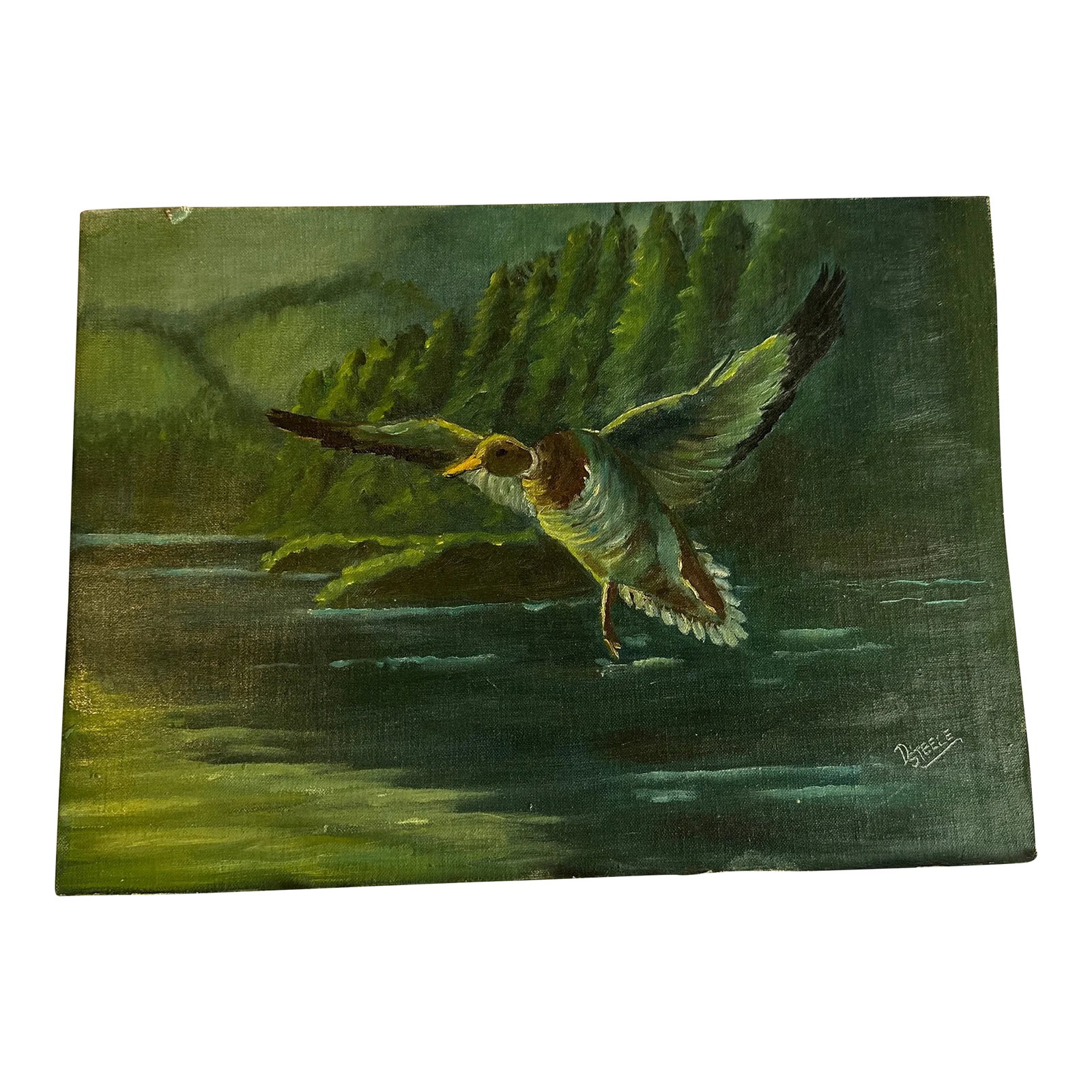 Late 20th Century Painting of Duck: A lovely piece of art of a flying duck with gorgeous scheme of greens. Signed by unknown artist D Steele. Painted on a board canvas that has been cut down. Condition: Alterations: Original Condition