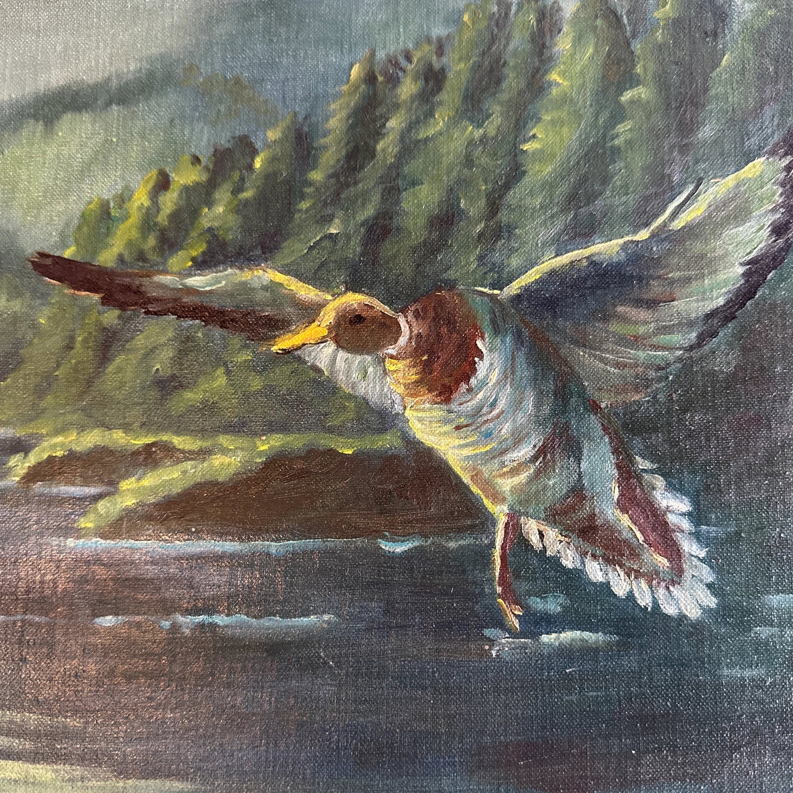 Late 20th Century Painting of Duck - 2