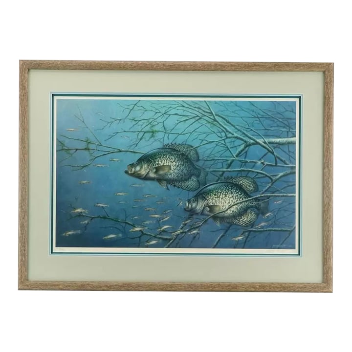 1980s Vintage Fishing Wall Art Jon Q. Wright "Tangled Cover Crappie" Signed/Numbered, Framed: Artist: Jon Q. Wright -American 20th-21st Century Title: "Tangled Cover Crappie" Signed, numbered lithograph. Numbered: 226/900 Measures: 35.25" wide; 25.5" tall; 1.5" deep. This large framed fish