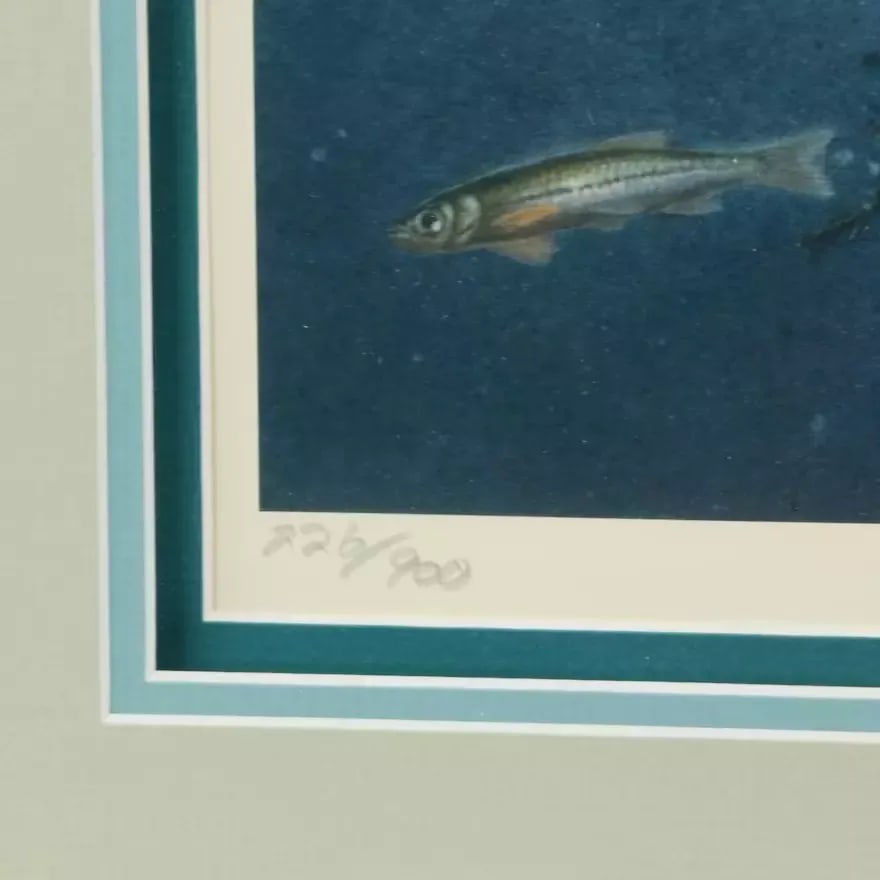 1980s Vintage Fishing Wall Art Jon Q. Wright "Tangled Cover Crappie" Signed/Numbered, Framed - 2