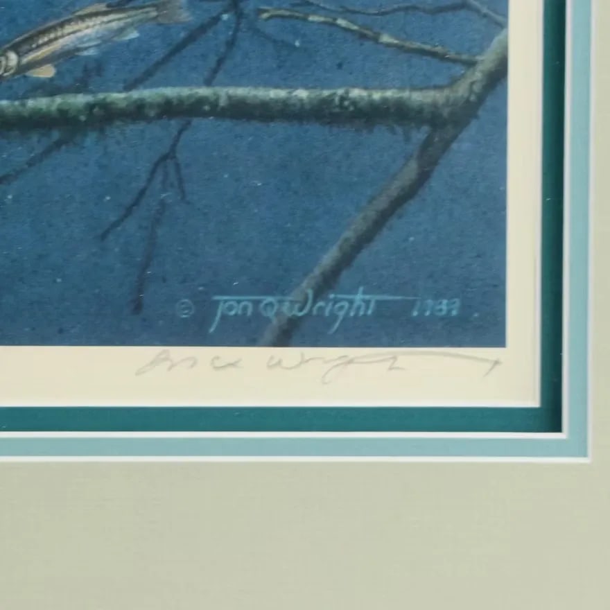 1980s Vintage Fishing Wall Art Jon Q. Wright "Tangled Cover Crappie" Signed/Numbered, Framed - 3