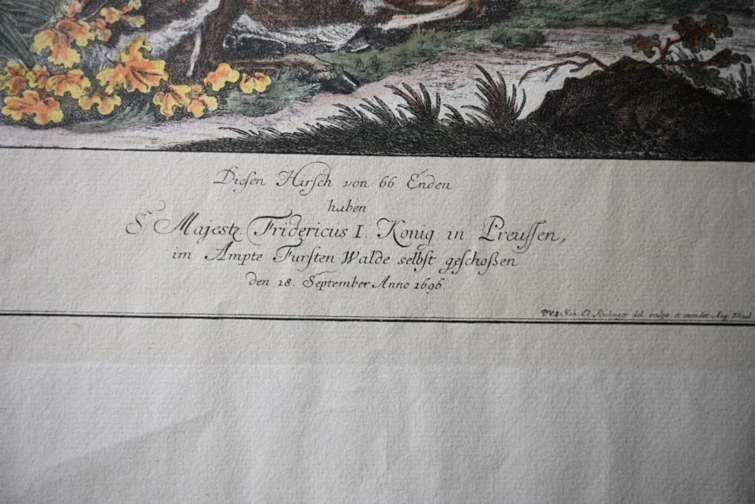 18th Century Rare 1696 Royal Prussian 66-Point Stag Hand-Colored Engraving After Frederick I - 5