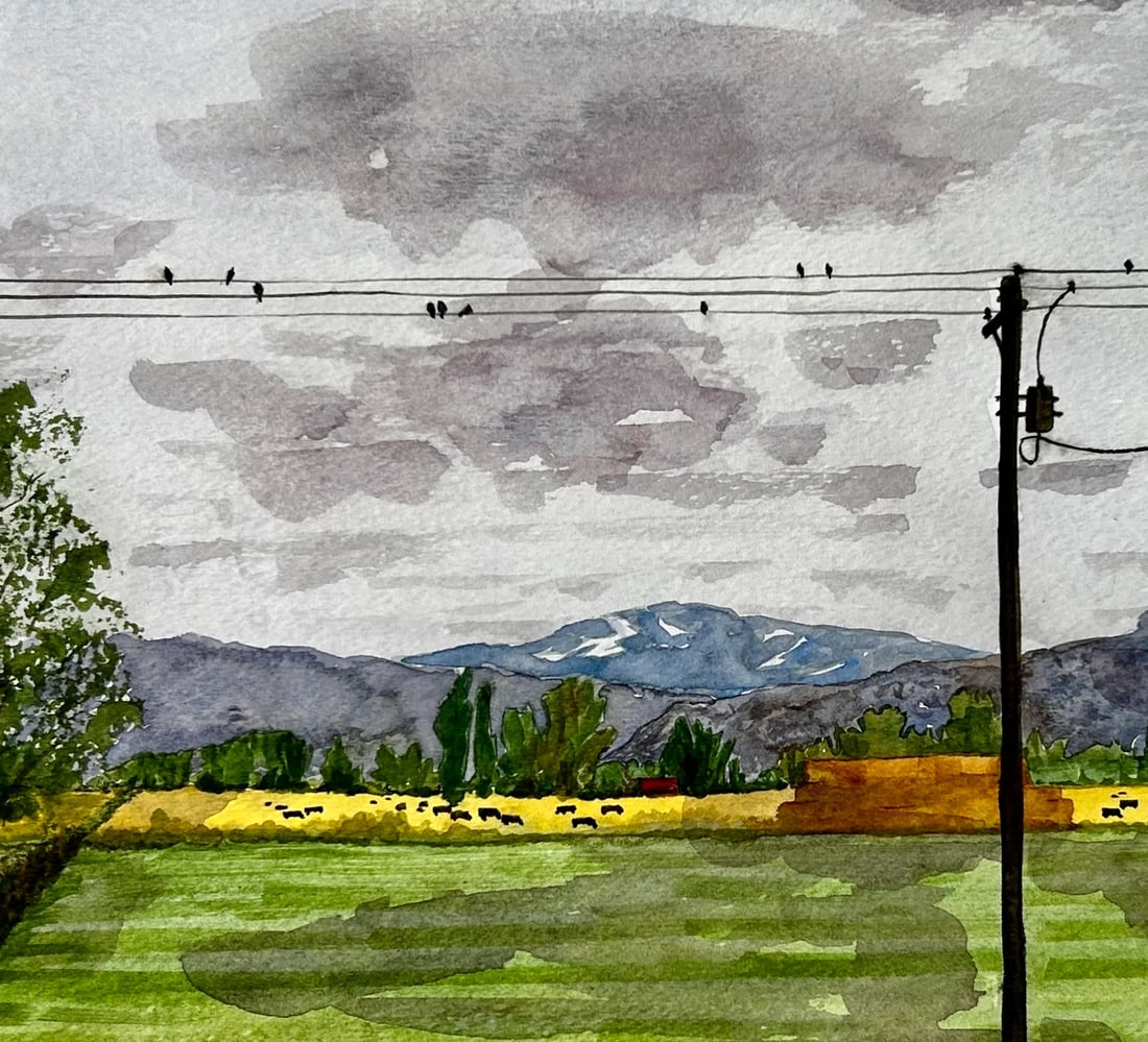 Original Watercolor Painting "Rainy Day Hayfield" in Idaho: Original Watercolor painting of the view looking out of my art studio window at my neighbor's hay field in peaceful farm country in the rain, Idaho, USA. Approximately 11 x 15 inches. Painted with pro