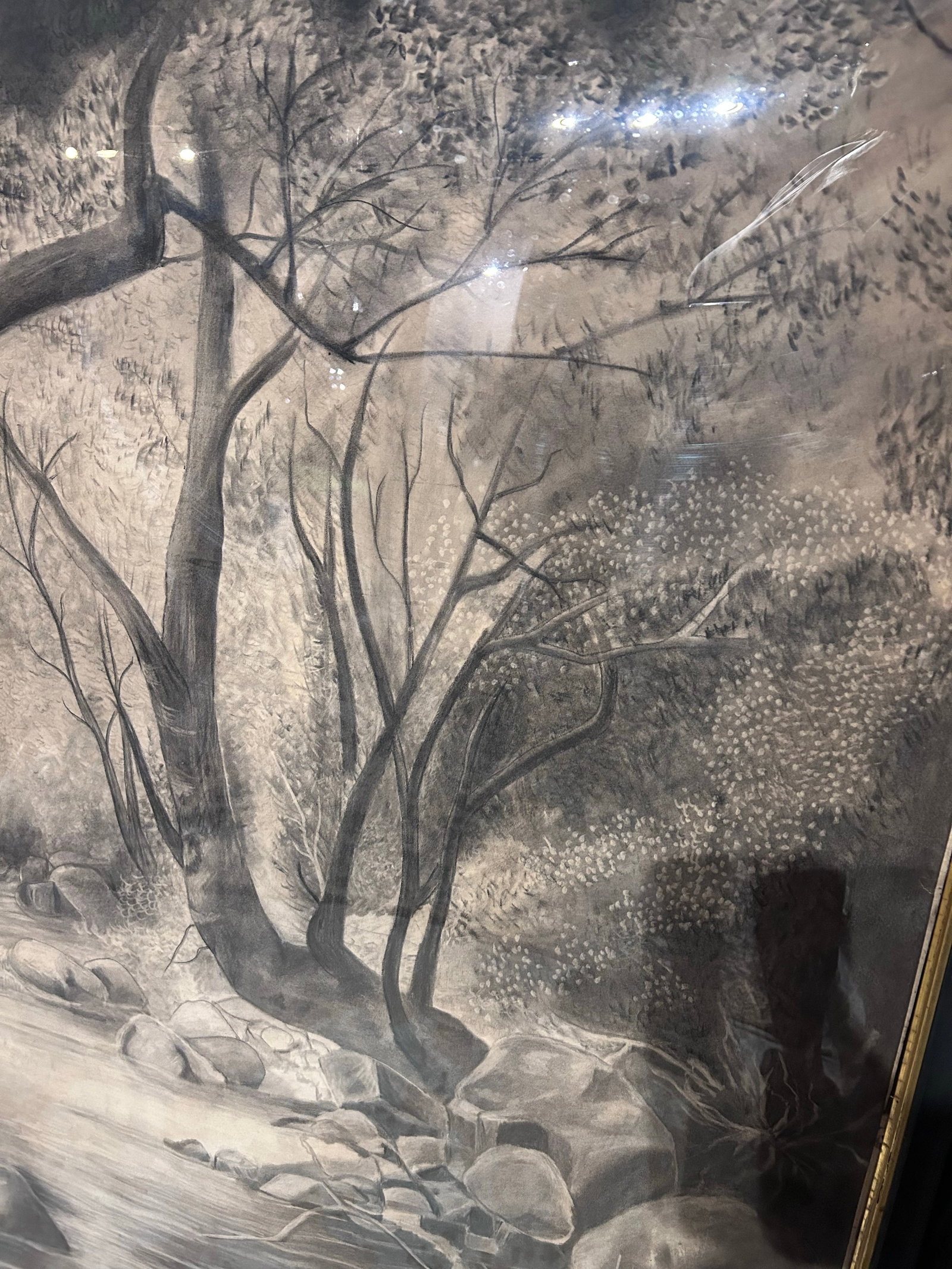 Monumental Antique Original Charcoal of Woodland Brook - 5