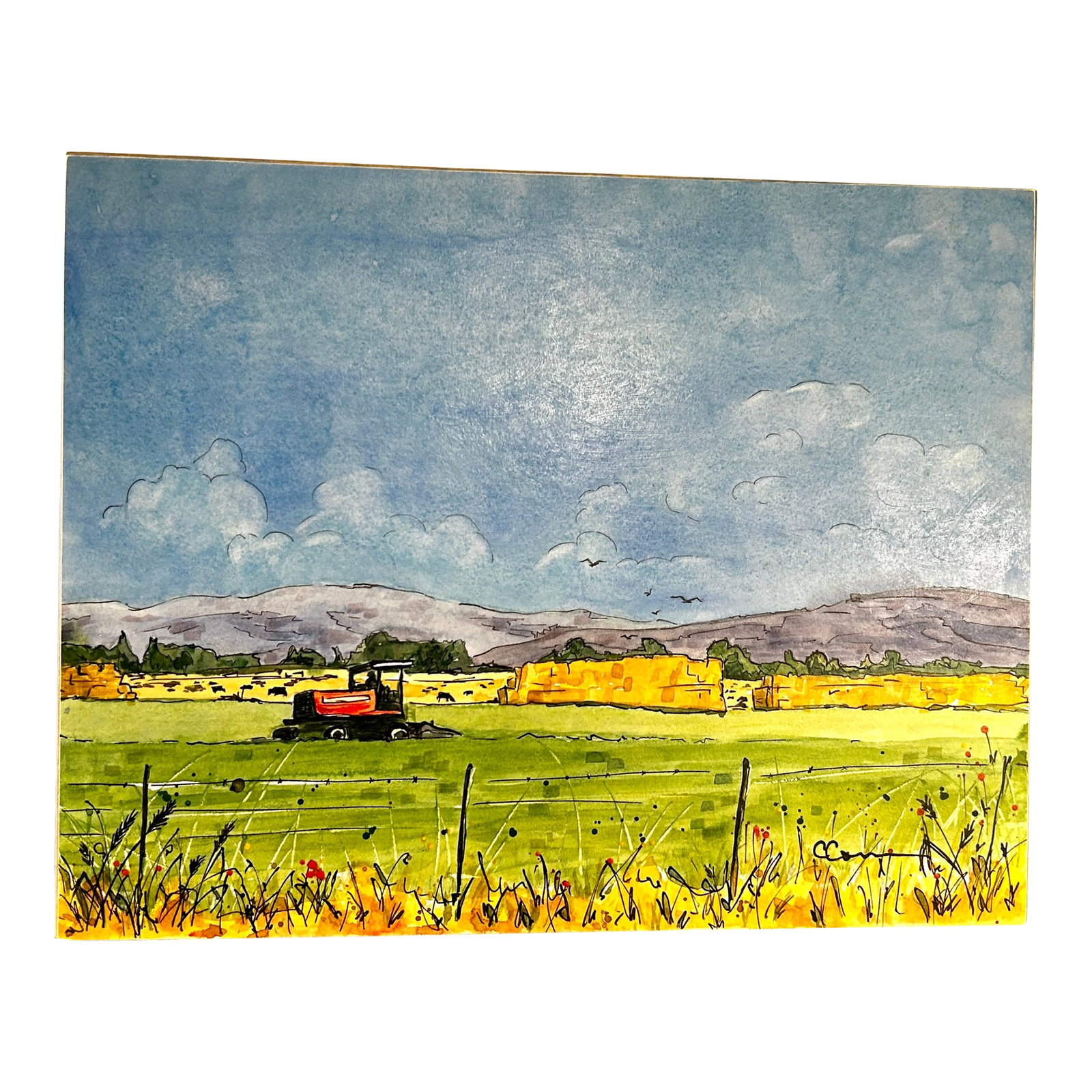 Original Watercolor Painting on Birch Board Rural Farm Scene: Original Watercolor painting on Arches watercolor paper attached to a birch cradle board. Professional Daniel Smith paints. 11 x 1 x 14 inches. This farm scene is the view from my art studio window.